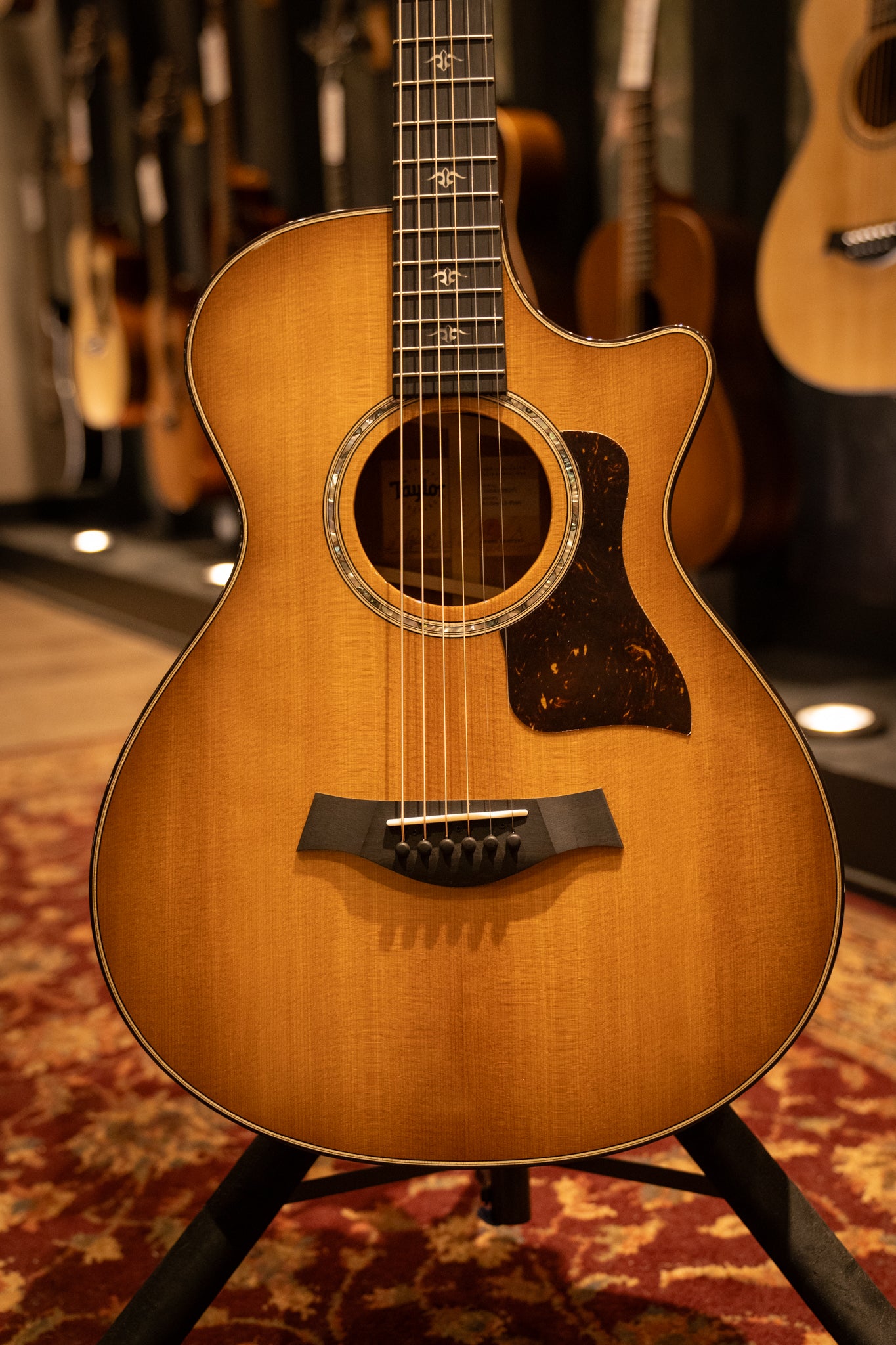 Taylor 512ce 12-Fret Grand Concert Acoustic Guitar with Hard Shell Case - Perfect for Live Performances, Studio Recording & Home Practice (Serial Number: 1204103071)