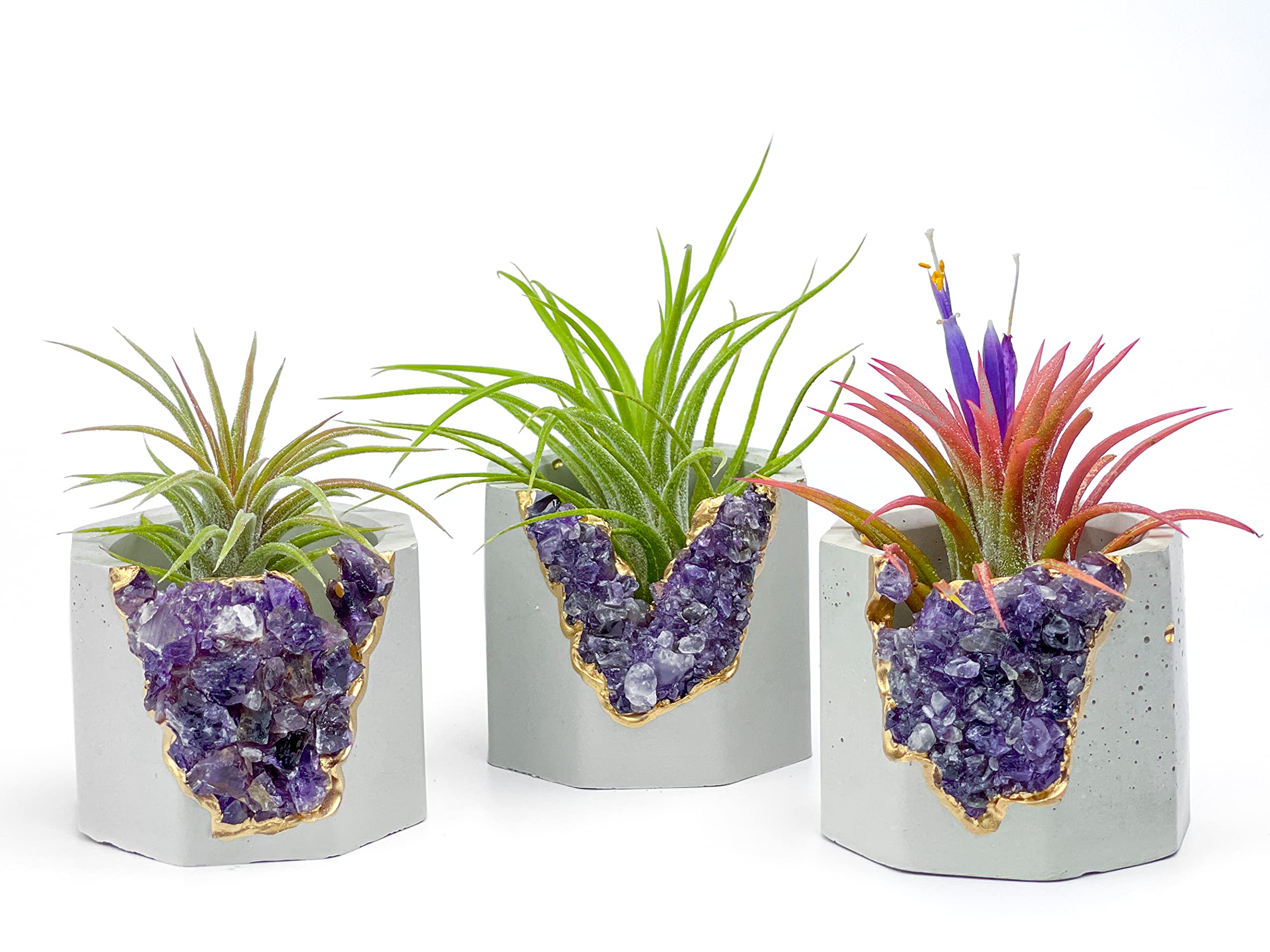 Geode Planter - Unique Air Plant Holder with Raw Amethyst Crystal | Mini Succulent Pot in Purple & Gold | Small Cactus Planter & Healing Crystal Candle Holder for Home Decor, Office Desk, Meditation Space & Gift Ideas