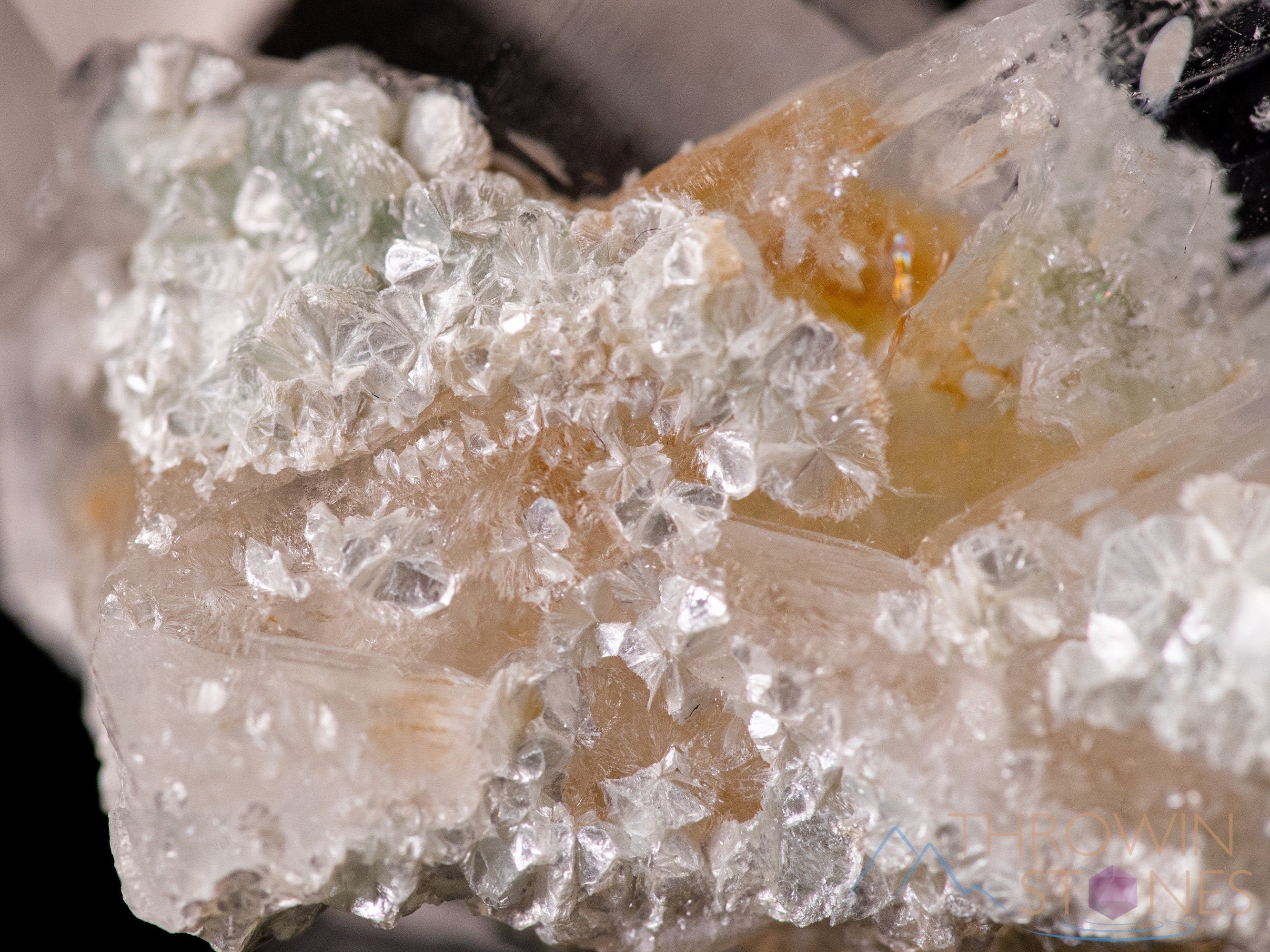 COOKEITE with QUARTZ Raw Crystal Specimen - Natural Healing Stone for Home Decor, Housewarming Gift & Crystal Collection | Perfect for Meditation, Reiki & Spiritual Healing