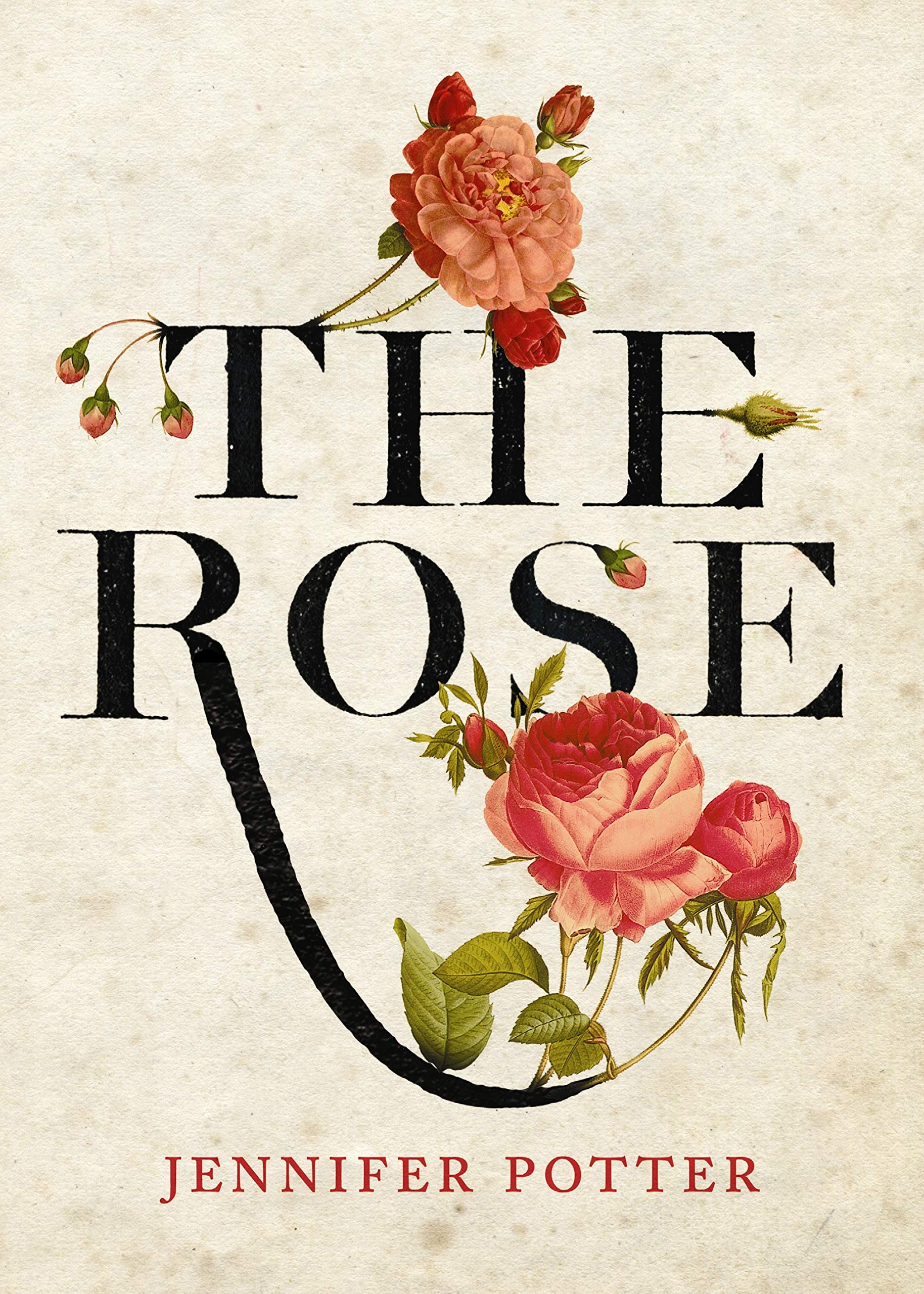 Rose - Fresh Cut Roses for Bouquets, Weddings & Home Decor | Premium Long-Lasting Flowers for Gifts & Special Occasions
