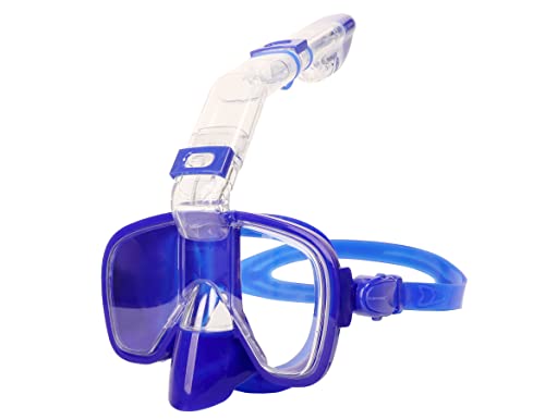 Dark Blue, Adult