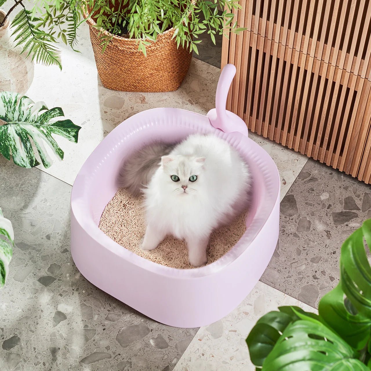 Macaron XL Cat Litter Box with High Walls & Scoop - Extra Large Covered Litter Box for Odor Control - Perfect for Large Cats & Multi-Cat Households