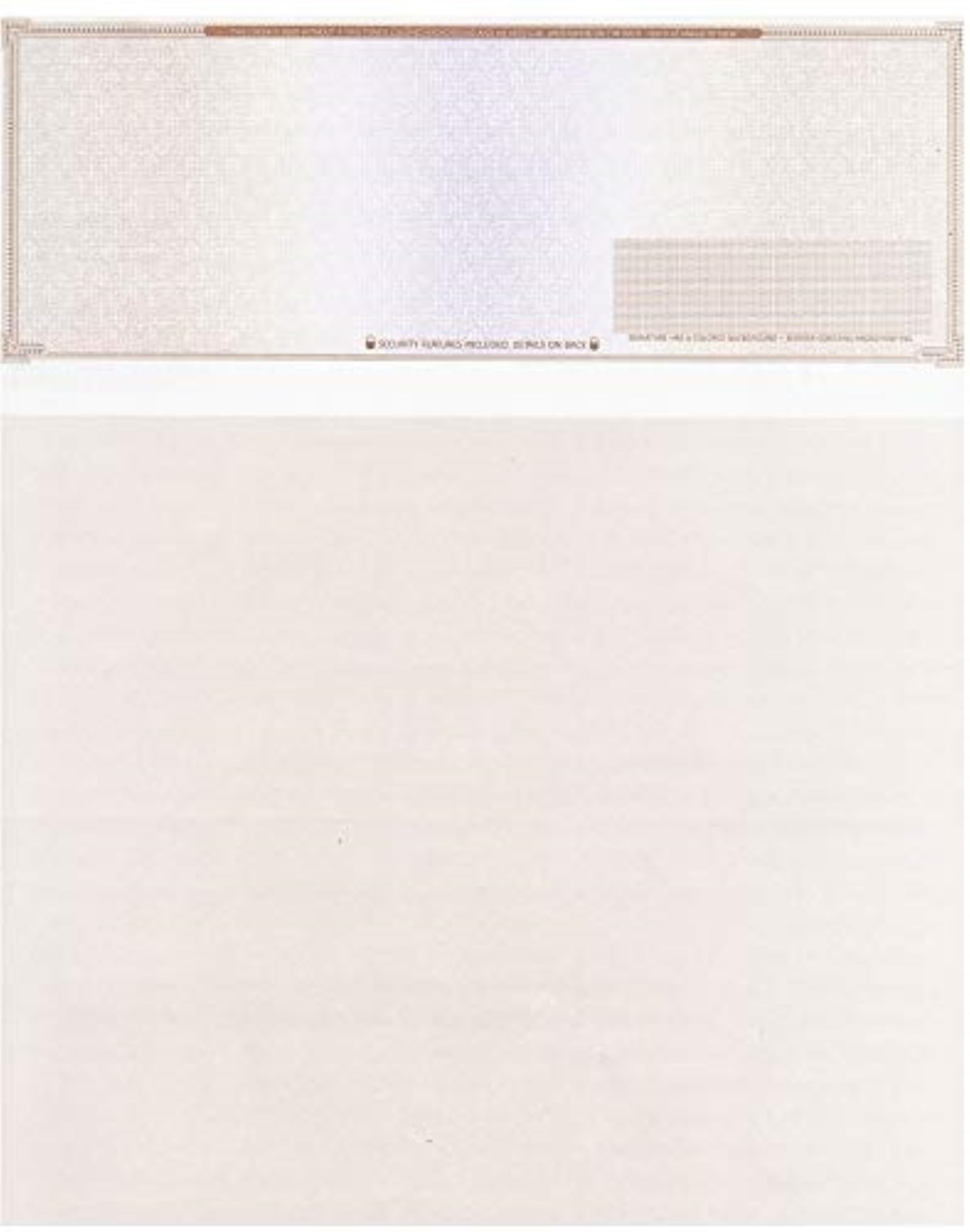 2000 High Security Blank Check Stock - 70# Brown Mazed Check Paper for Business & Personal Use - Top Quality Check Printing Paper for Payroll, Bills & Financial Transactions
