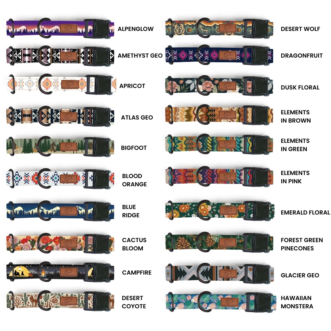 Durable Plastic Buckle Dog Collar 3-Pack - Adjustable Pet Collars for Small Medium Large Dogs | Perfect for Daily Walks, Training & Outdoor Adventures