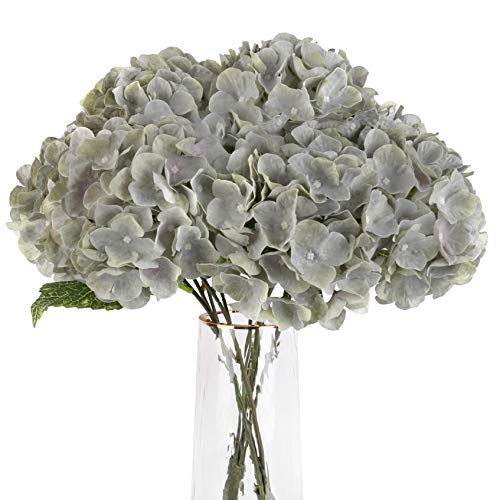 Grey Green, 5 Flower Heads