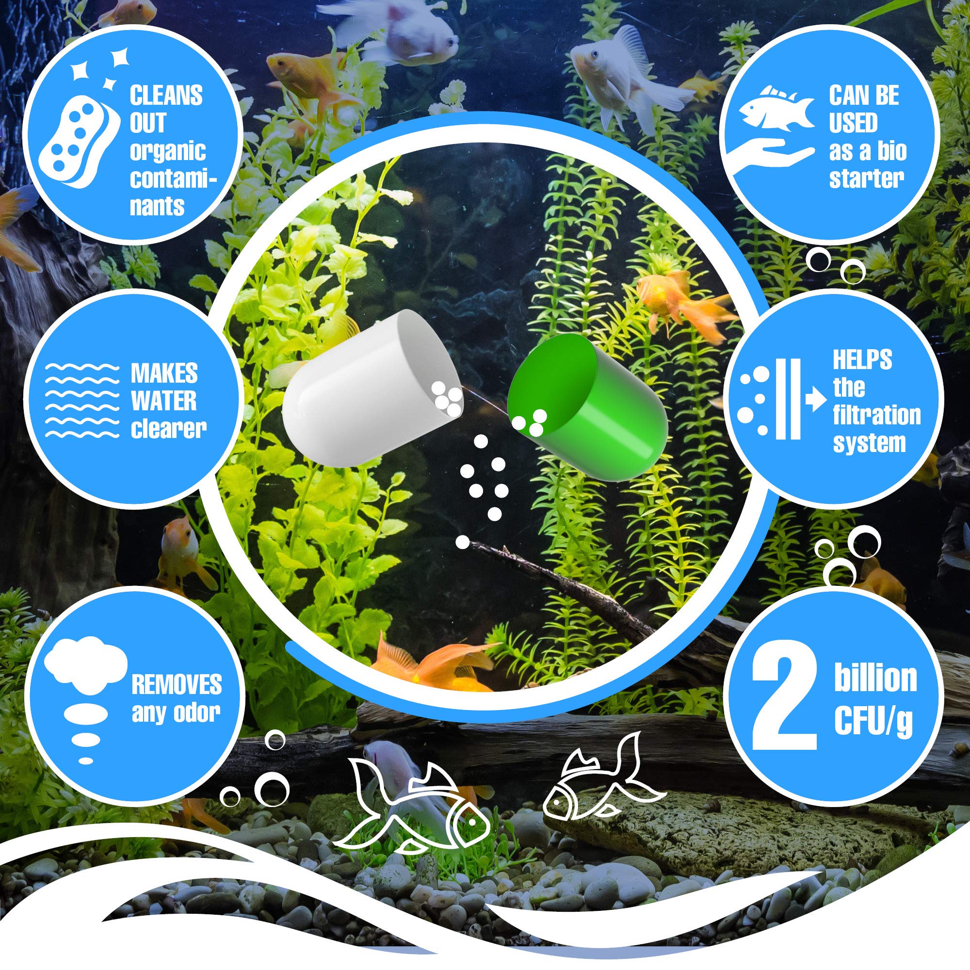 Premium Bio Capsules for Fish Tank - Natural Water Cleaner & Clarifier for Freshwater & Saltwater Aquariums - Maintains Crystal Clear Water for Healthy Fish - Ideal for Home, Office & Pet Store Aquariums