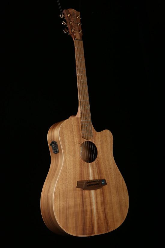 Cole Clark FL2EC 'Fat Lady' Acoustic Electric Guitar - Blackwood Body & Top | Perfect for Live Performances & Studio Recording
