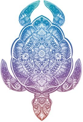 EW Designs Pastel Rainbow Ombre Mandala Turtle Vinyl Magnet - 4 Inch Decorative Bumper Sticker for Cars, Laptops & Fridges | Waterproof Vinyl Art for Home, Office & Gifts