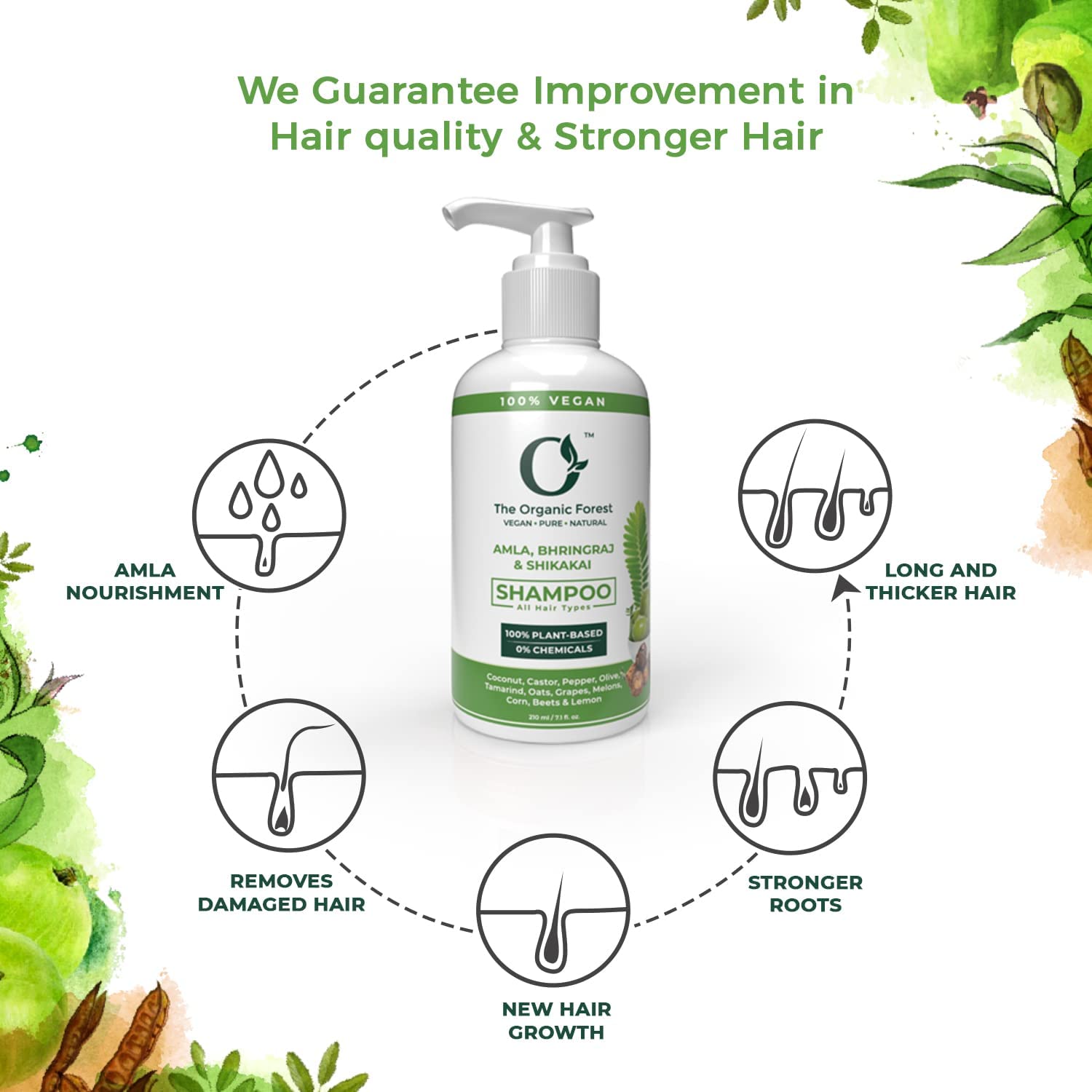 **Organic Ayurvedic Shampoo with Amla, Bhringraj & Shikakai – Sulfate & Paraben Free, Vegan & Gentle Cleansing – Natural Hair Growth & Scalp Care for Men & Women – Perfect for Daily Use & Ayurvedic Hair Care Routine**