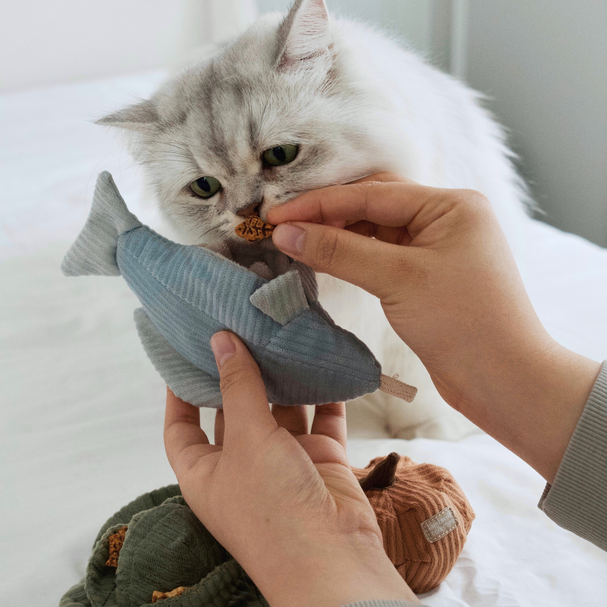 Kitty Trout Cat Toy - Interactive Fishing Rod Toy for Cats with Feather & Bell - Perfect for Indoor Play, Exercise & Bonding with Your Kitten