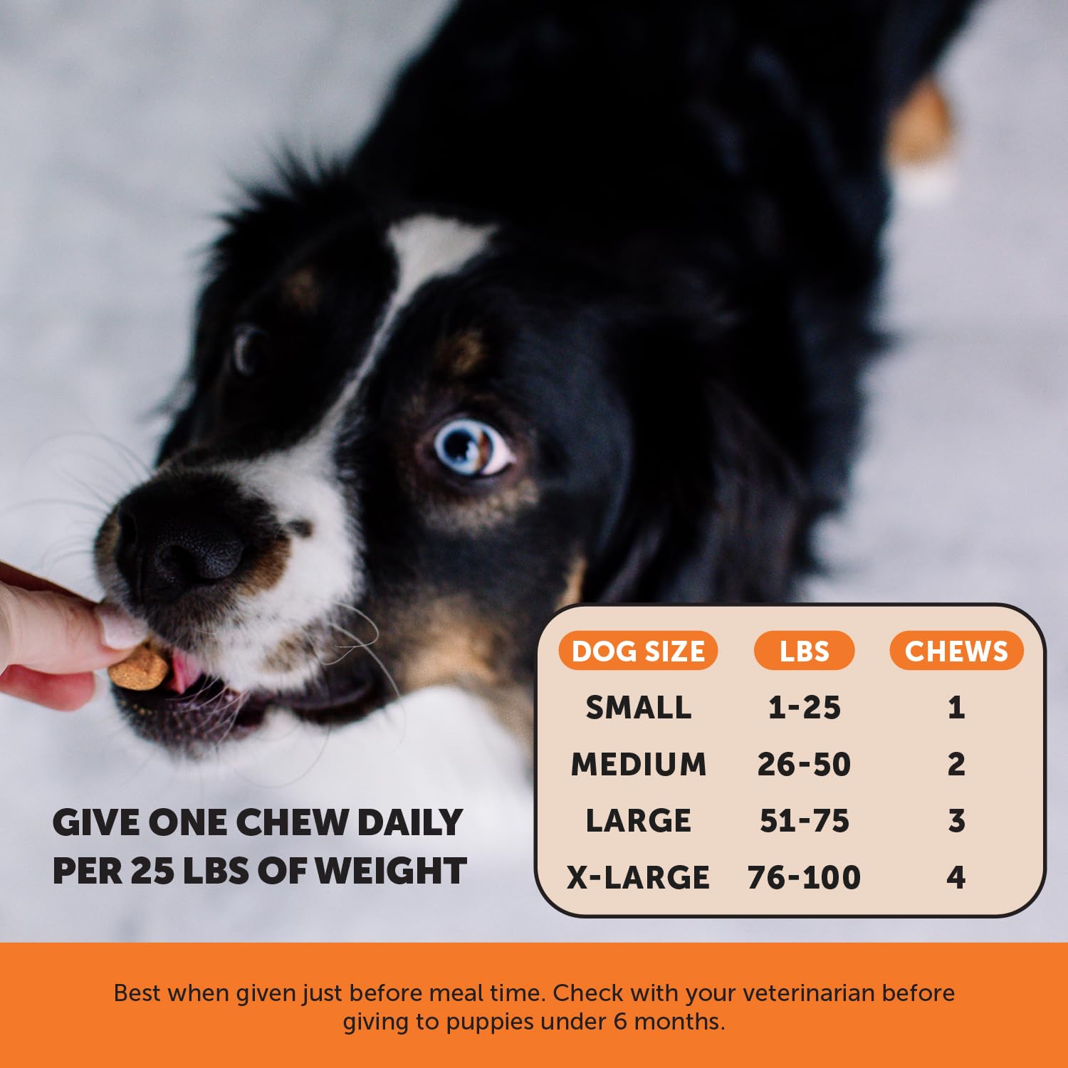 Pet Honesty Senior Hemp Oil Dog Joint Supplement with Glucosamine, Collagen & MSM - Hip & Joint Support for Senior Dogs - 2 Pack Bundle - Ideal for Aging Dogs with Mobility Issues & Joint Discomfort