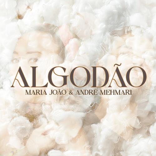 Algodao Vinyl LP Record - High-Quality Music Album for Collectors & Audiophiles | Perfect for Home Listening & Gifts