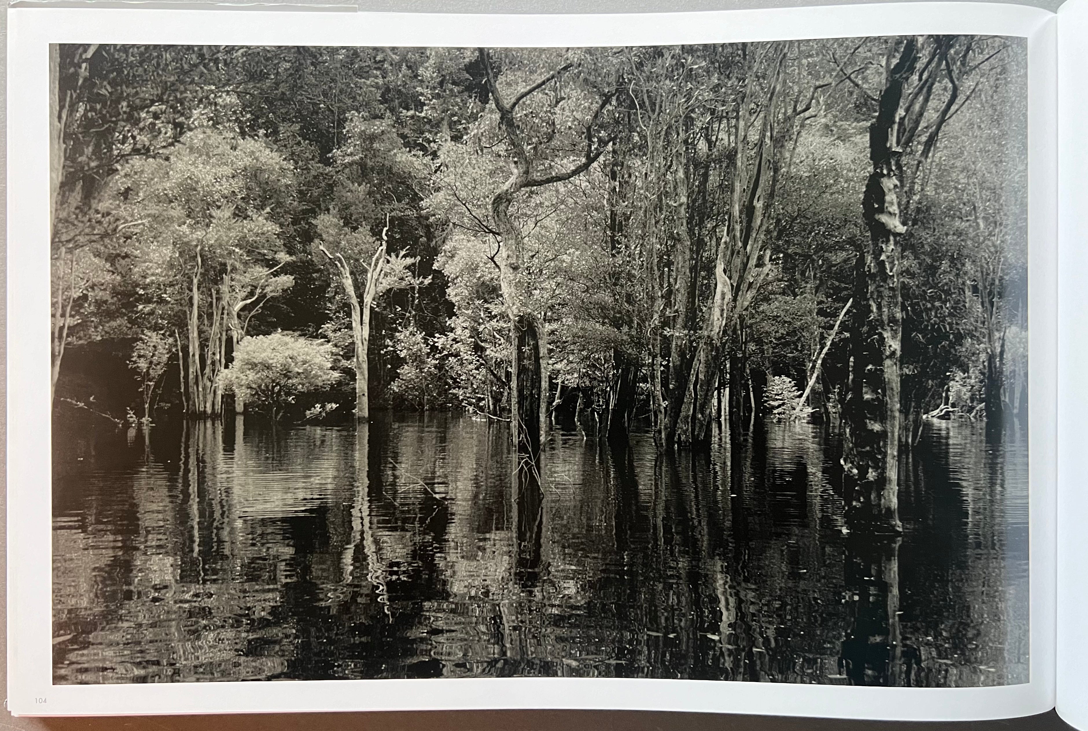 Balthasar Burkhard Photography - Fine Art Prints & Limited Editions for Home Decor, Office & Gallery Display