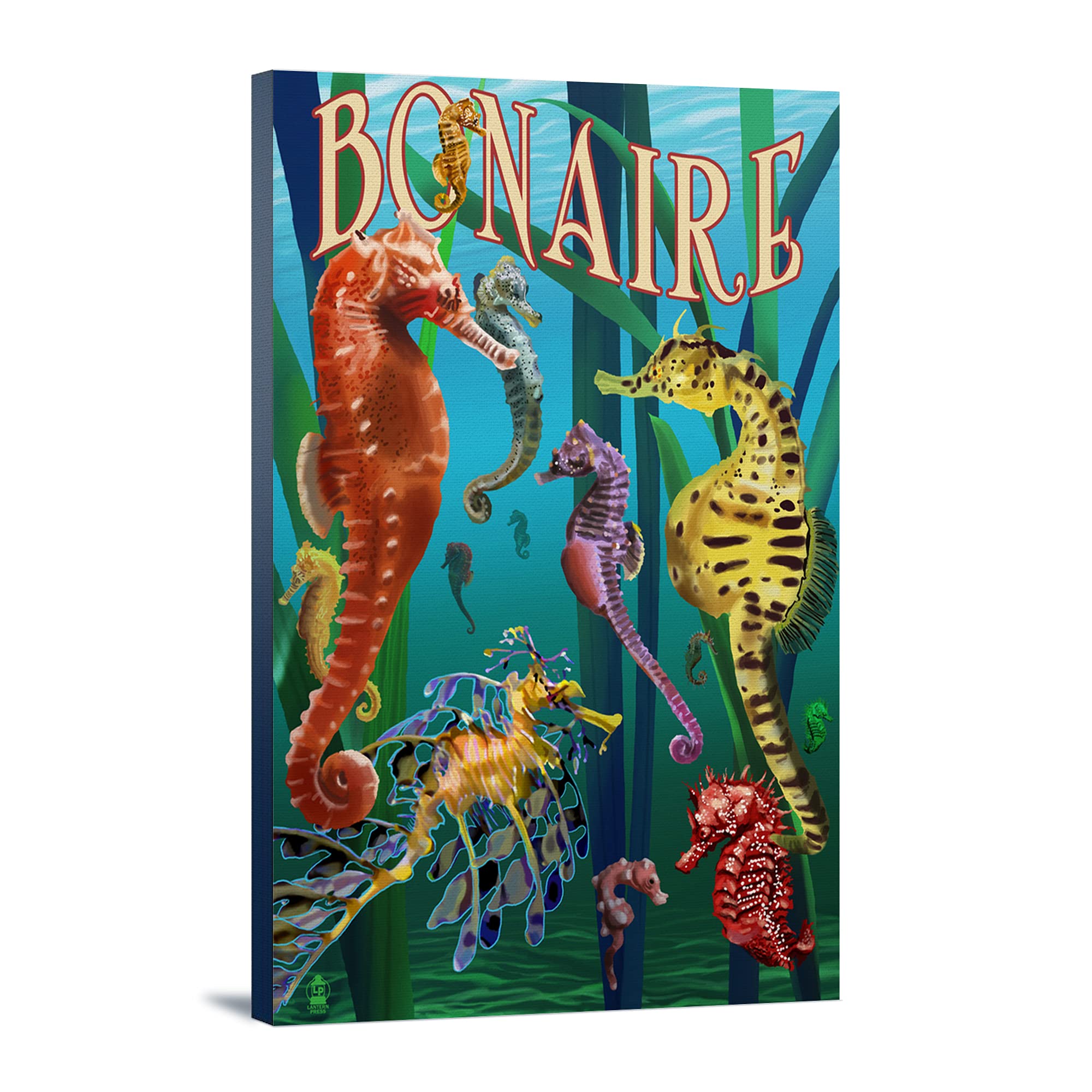 Lantern Press Bonaire Dutch Caribbean Seahorses Wall Art - 16x24 Wrapped Canvas Print for Home & Office Decor - Perfect for Living Room, Bedroom or Gift