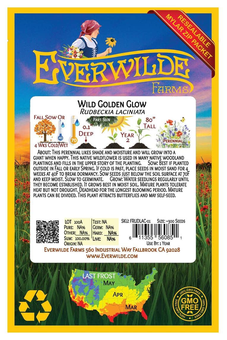 Everwilde Farms - 300 Wild Golden Glow Native Wildflower Seeds - Gold Vault Jumbo Seed Packet for Pollinator Gardens, Landscaping & Natural Habitats