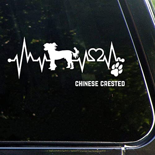 Chinese Crested