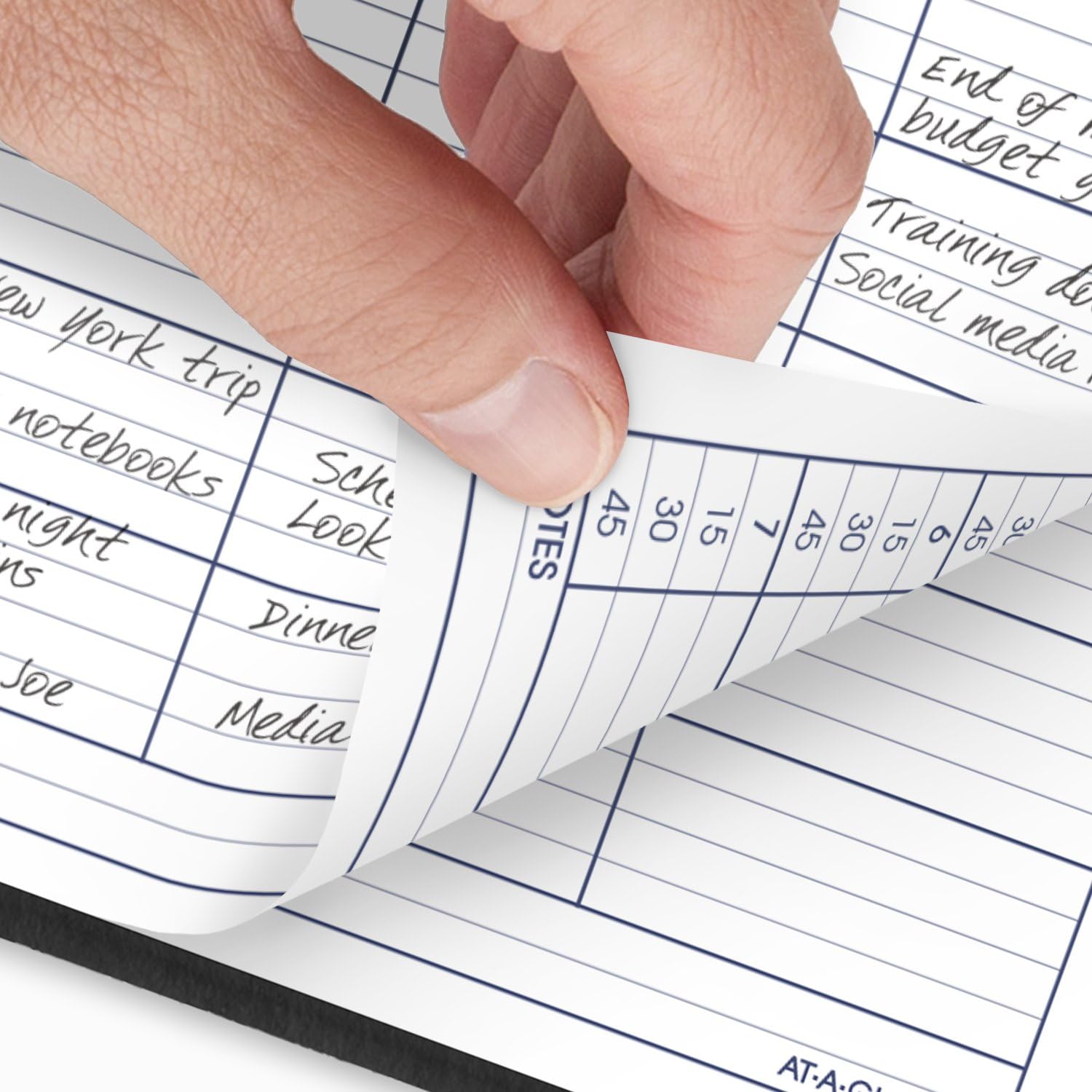 AT-A-GLANCE 2025 Daily Appointment Book Planner - 8