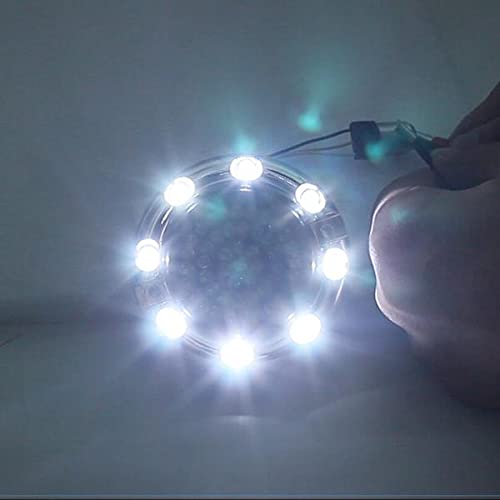 Eagle Lights 3.25