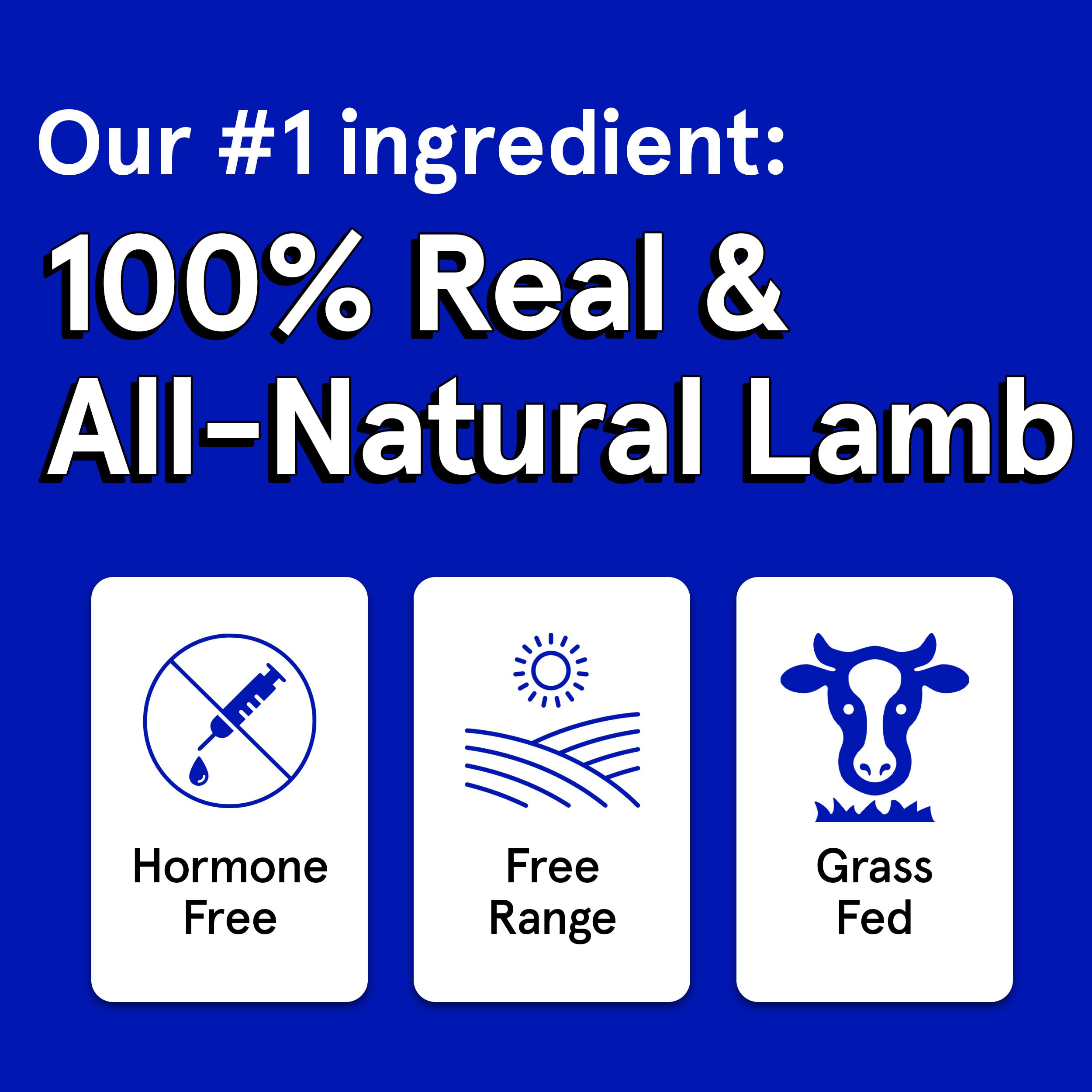 Premium Air-Dried Lamb Jerky Dog Treats - 12oz Grain-Free, High Protein Snacks Made with 95% Human-Grade Grass-Fed Free-Range Lamb - All Natural Bite-Sized Training Rewards for Small & Large Dogs - Perfect for Training, Travel & Outdoor Adventures