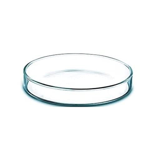 ECNEICS 75mm Borosilicate Glass Petri Dish - Pack of 1 | Lab-Grade for Scientific Experiments, Microbiology, Cell Culture & Classroom Use