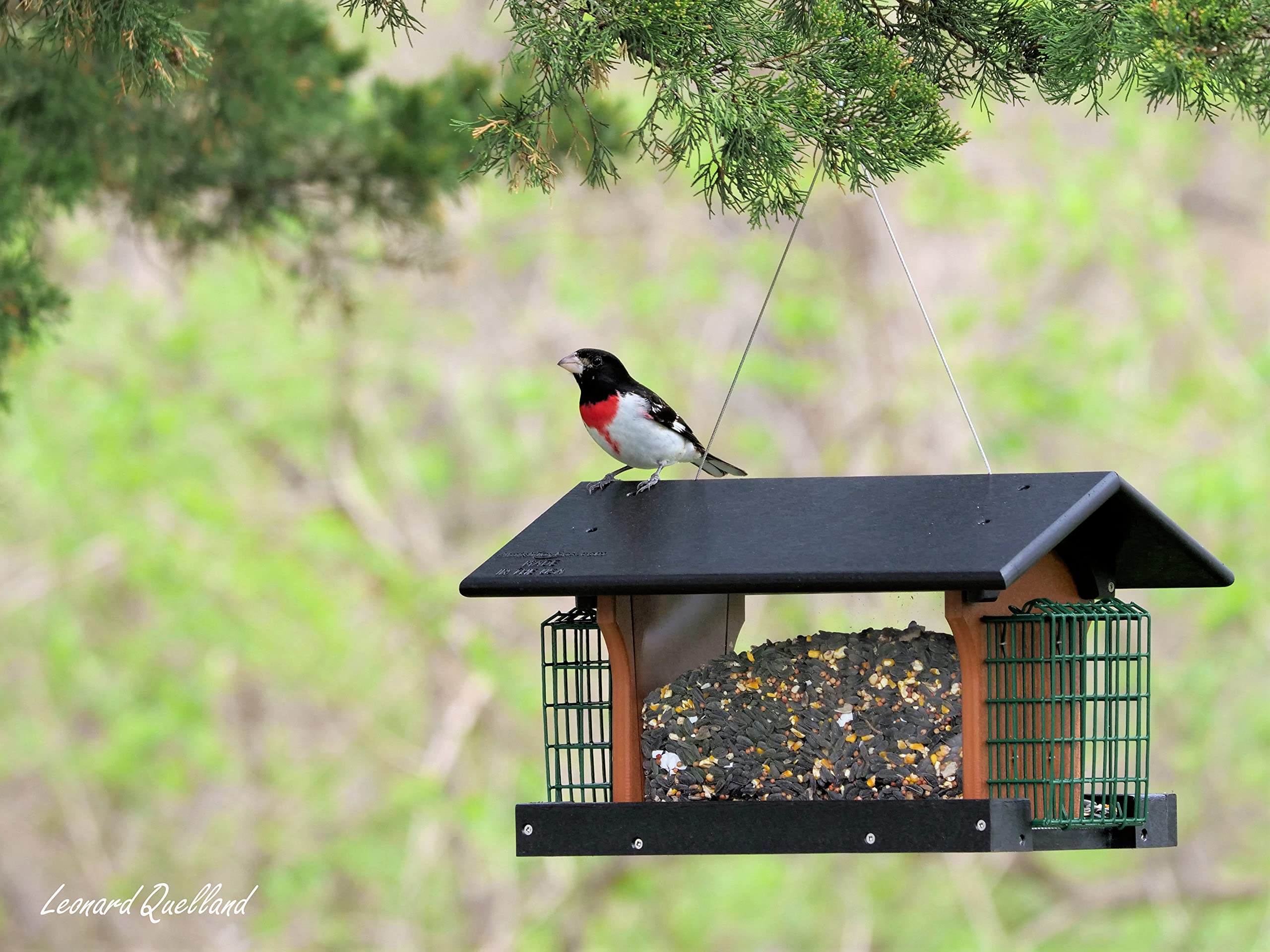 Premium Eco-Friendly Poly Lumber Deluxe Bird Feeder with Suet Holders - Durable Gray/Cherry Wood Design for Backyard Bird Watching & Wildlife Attraction | Perfect for Garden, Patio & Nature Lovers