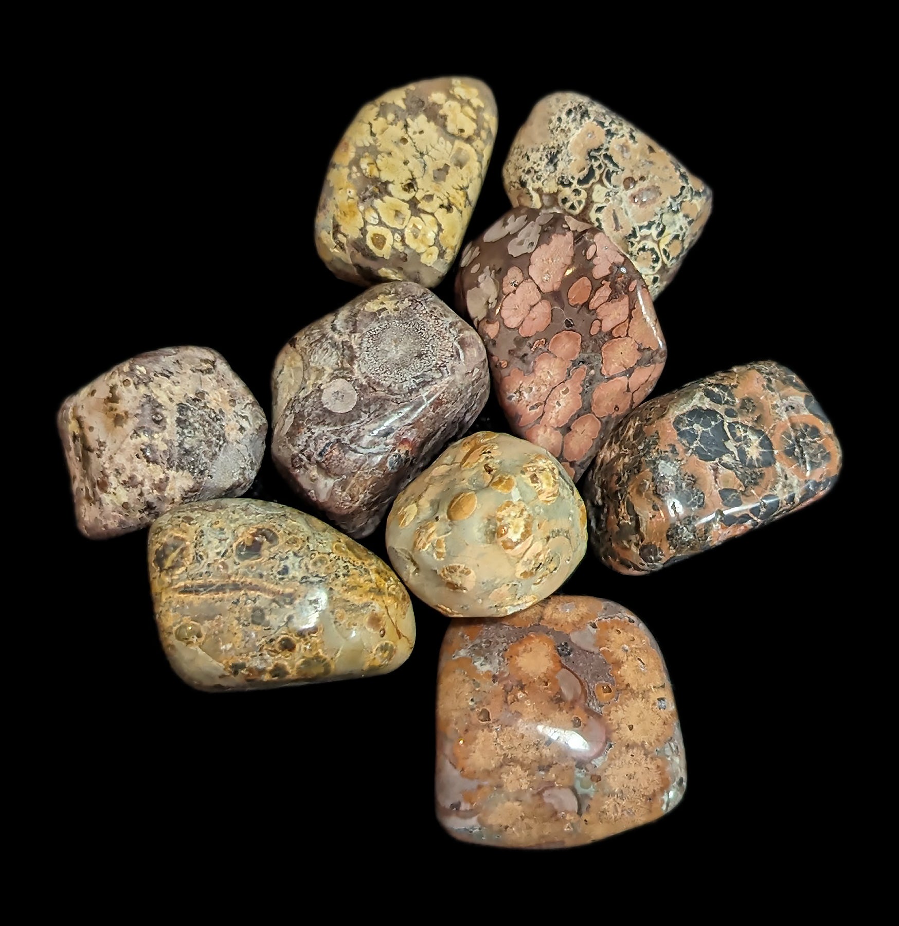 Tumbled Leopard Skin Jasper Stone - Natural Healing Crystal for Meditation, Chakra Balancing & Home Decor | Perfect for Jewelry Making, Spiritual Gifts & Energy Work