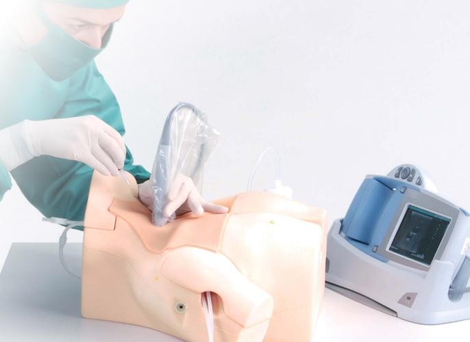 CVC Insertion Simulator II - Medical Training Device for Central Venous Catheter Practice - Perfect for Nursing Students & Healthcare Professionals