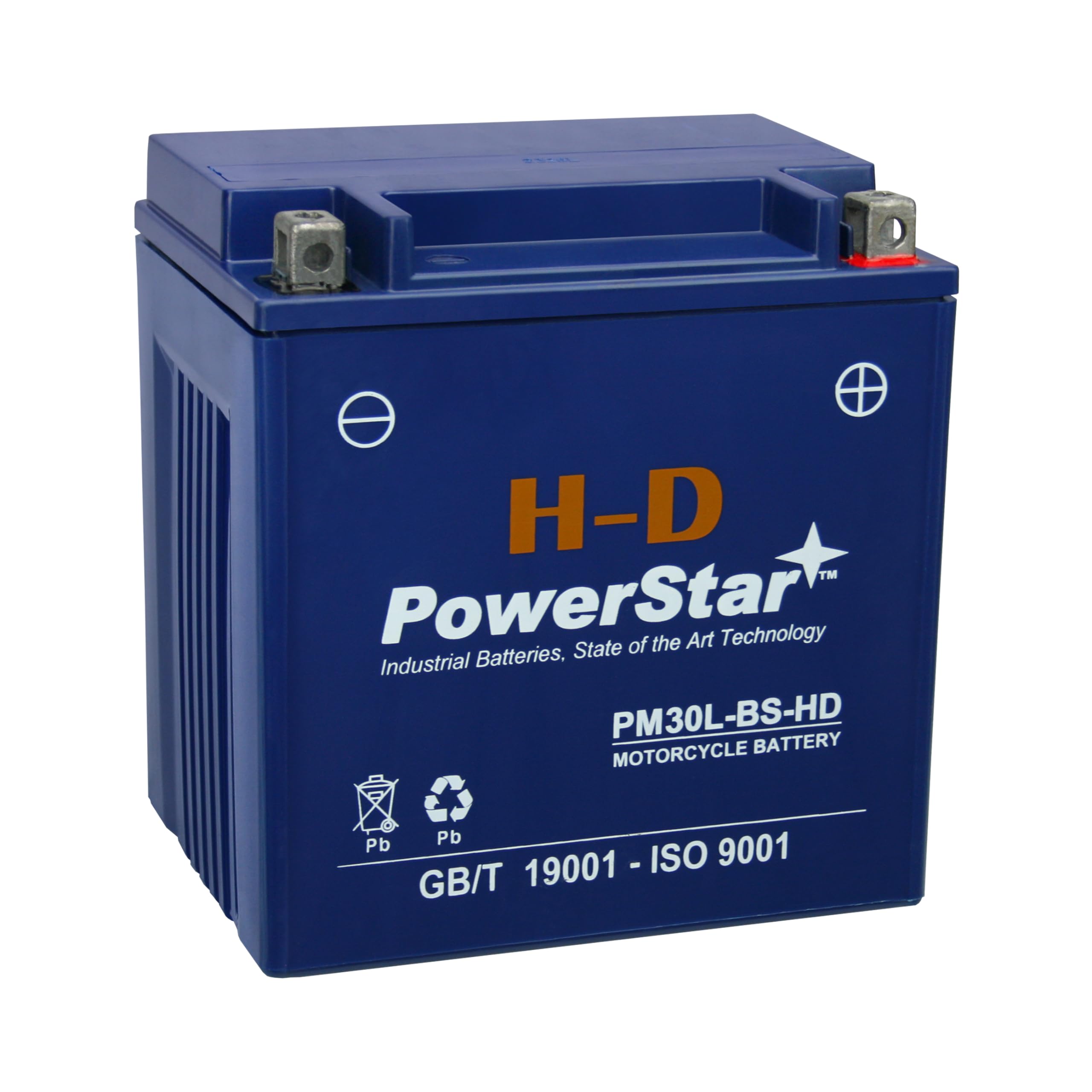 PowerStar YTX30L-BS Replacement Battery & Charger for Harley-Davidson FL FLH Series Touring 1450CC 1999+ - Compatible with Motorcycles, ATVs, and Power Sports - Perfect for Long Rides and Off-Road Adventures