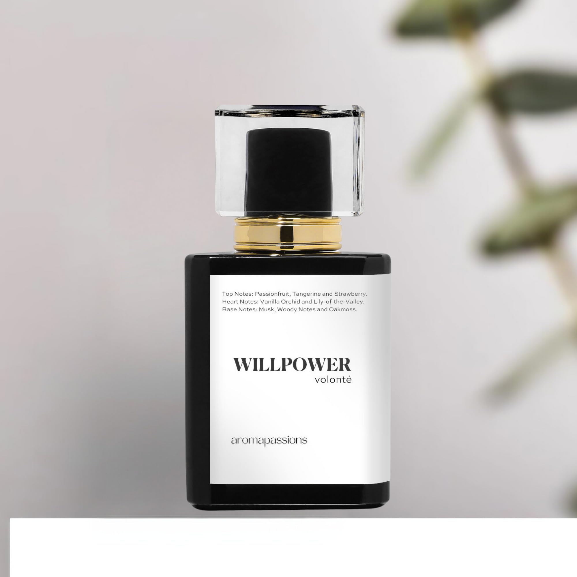 WILLPOWER Women's Pheromone Perfume - Victoria's Secret Bombshell Inspired Long-Lasting Fragrance Oil | 100ml/3.4oz Extrait De Parfum | Romantic Date Night & Special Occasion Scent