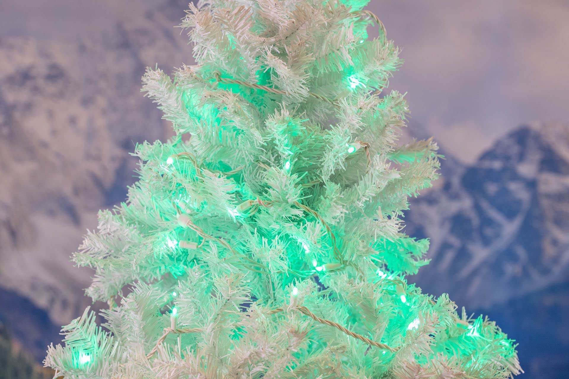 50 LED 11FT Green Outdoor String Lights - Waterproof Decorative Fairy Lights for Yard, Garden, Christmas, Patio & Party Decor | Perfect for Backyard, Wedding, Holiday & Nighttime Ambiance