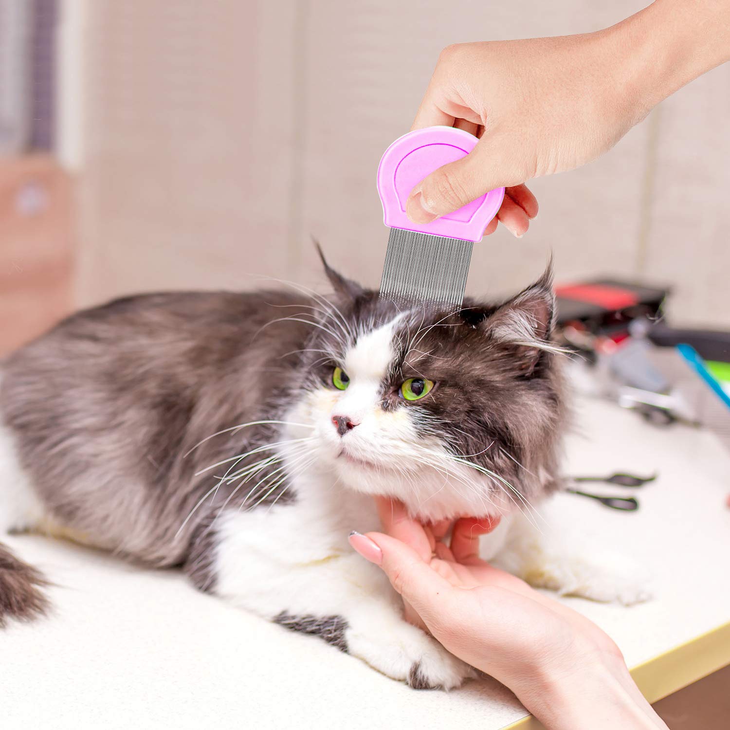 BENSEAO 5-Piece Pet Grooming Set - Metal Flea Comb for Dogs & Cats, Lice Comb, Tear Stain Remover, Durable Detangling Comb with Storage Pouch (Pink) - Perfect for Removing Fleas, Tangles & Dandruff at Home or Professional Grooming
