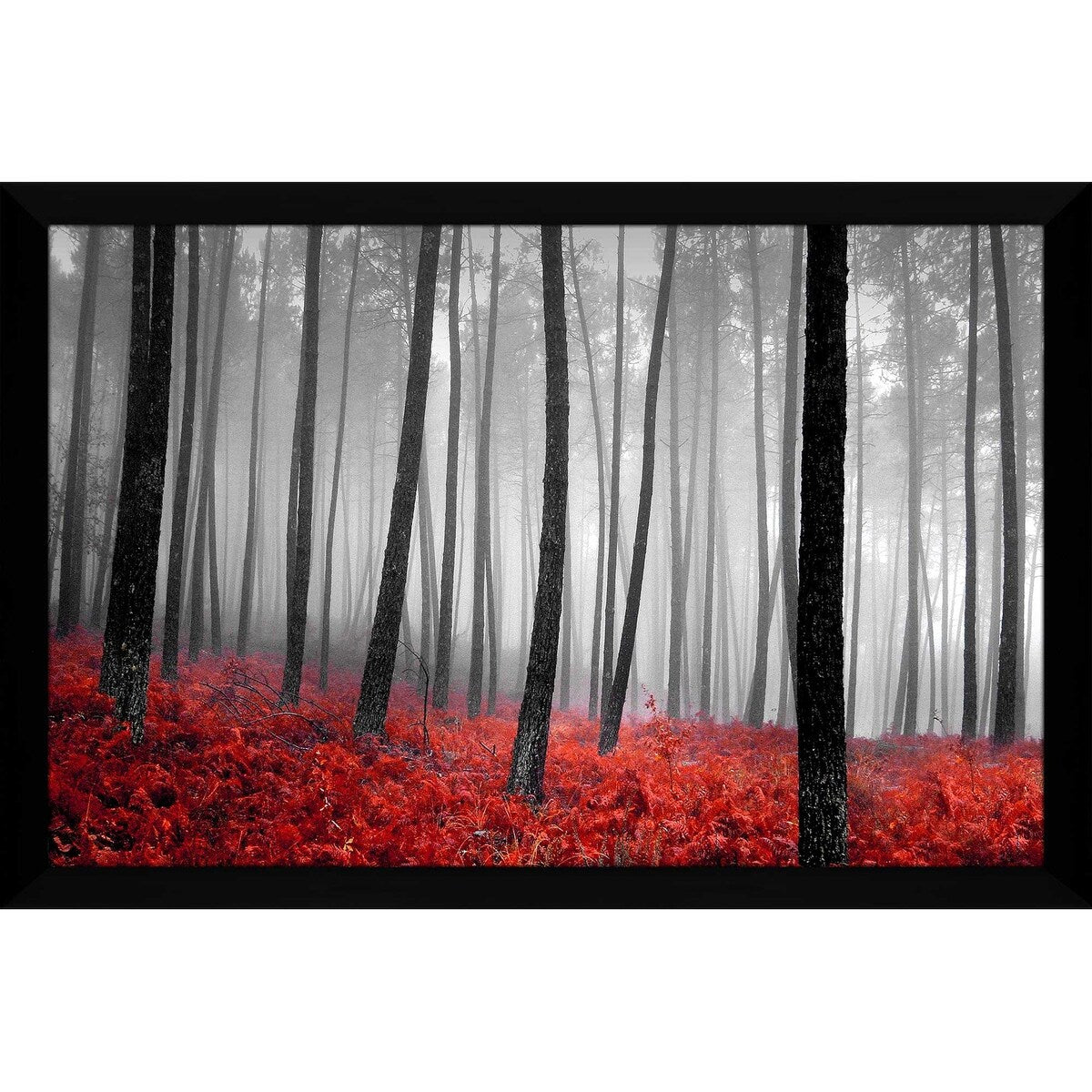 47 Autumn Woods Landscape Print on Acrylic - Premium Wall Art Decor for Living Room, Bedroom & Office | Nature Photography by PhotoINC Studio