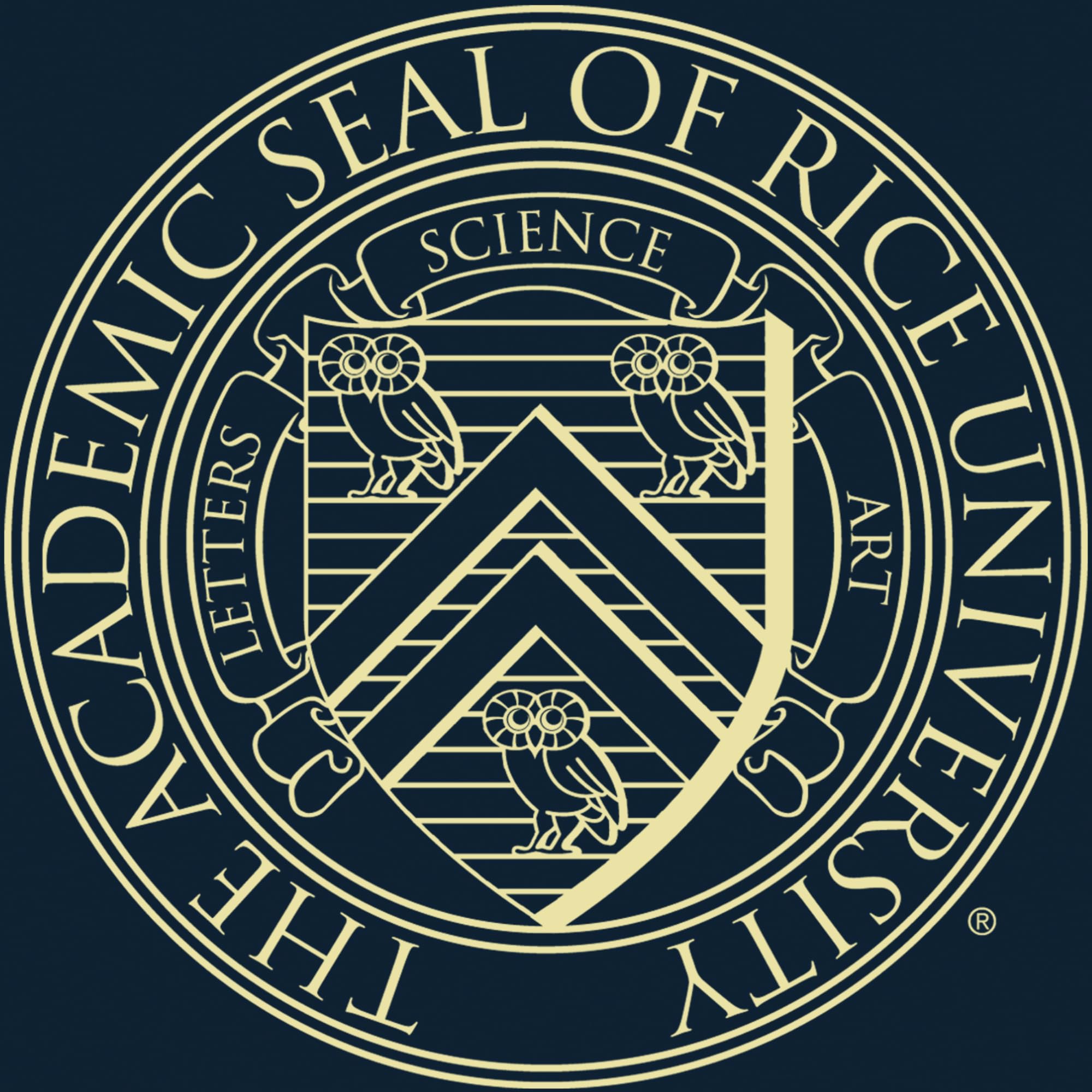 Rice University George R. Brown School of Engineering 17x23 Inch Diploma Frame - Gold Embossed Display for Bachelor's, Master's & PhD Degrees - Perfect for Graduation Gifts & Office Decor