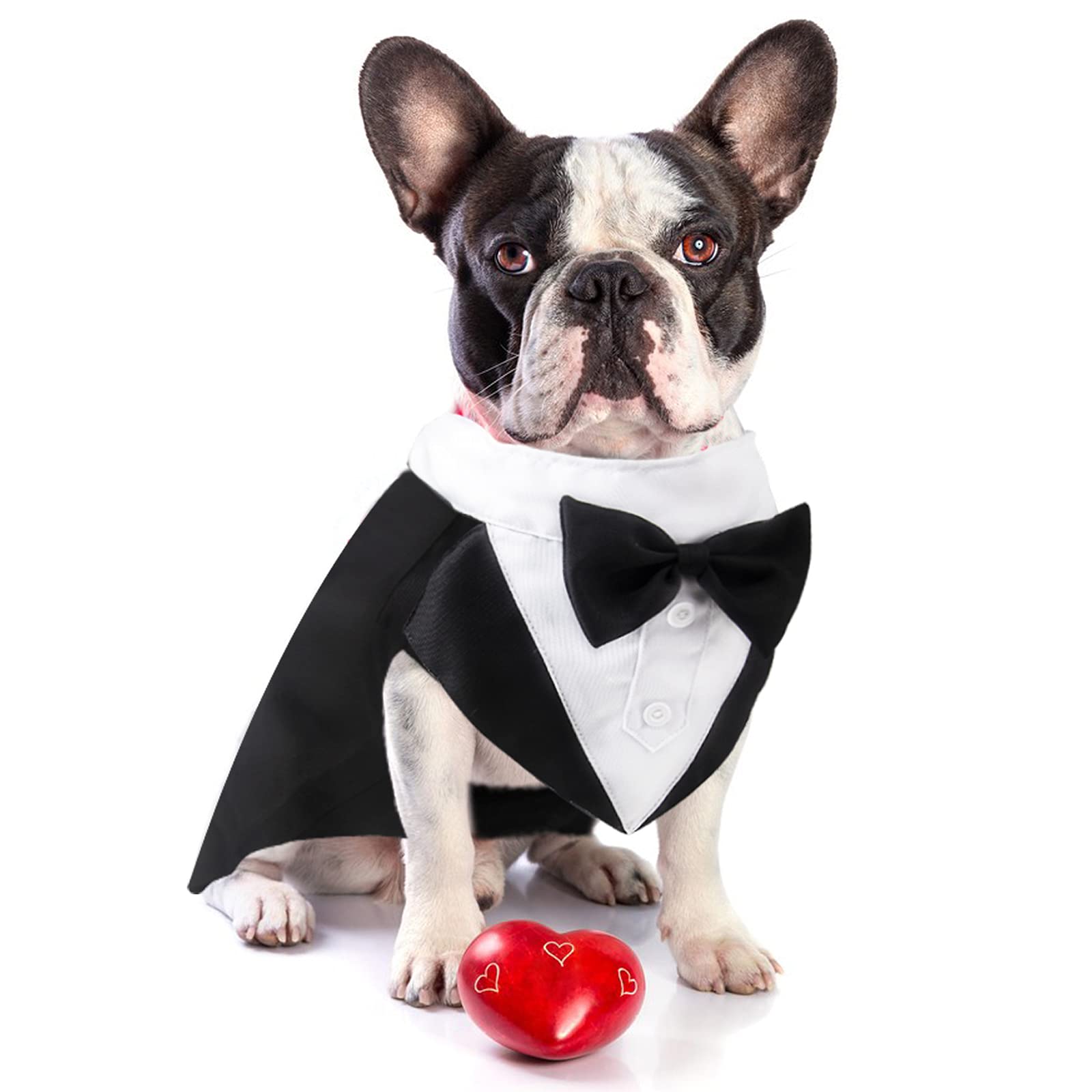 Premium Dog Tuxedo Suit for Weddings & Halloween - Formal Canine Tux with Bow Tie for Small, Medium & Large Dogs | Perfect for Wedding Photos, Parties & Costume Events