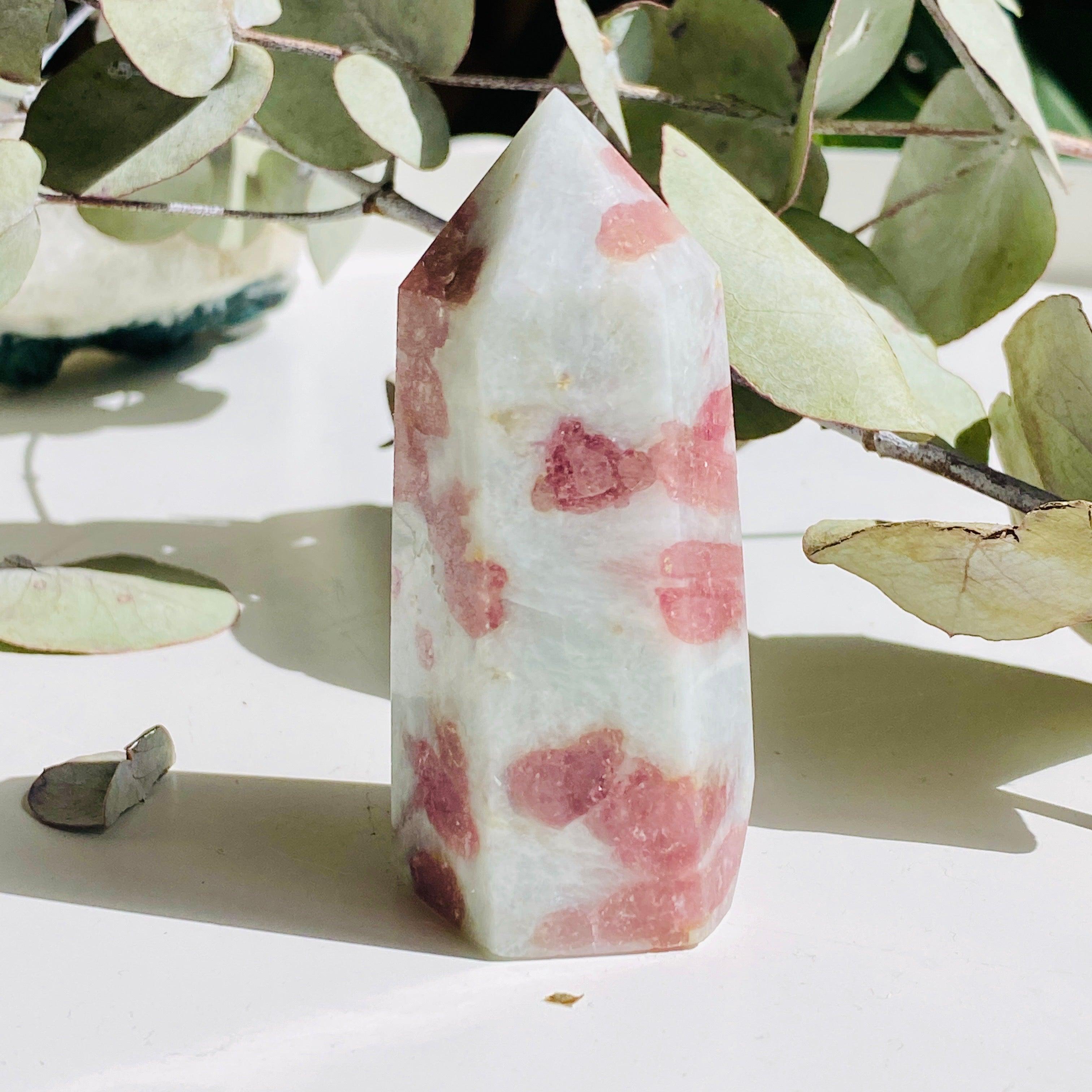Natural Pink Tourmaline in Schist - Small Point Specimen c1450 | Gemstone Collection, Healing Crystals & Mineral Display for Home Decor