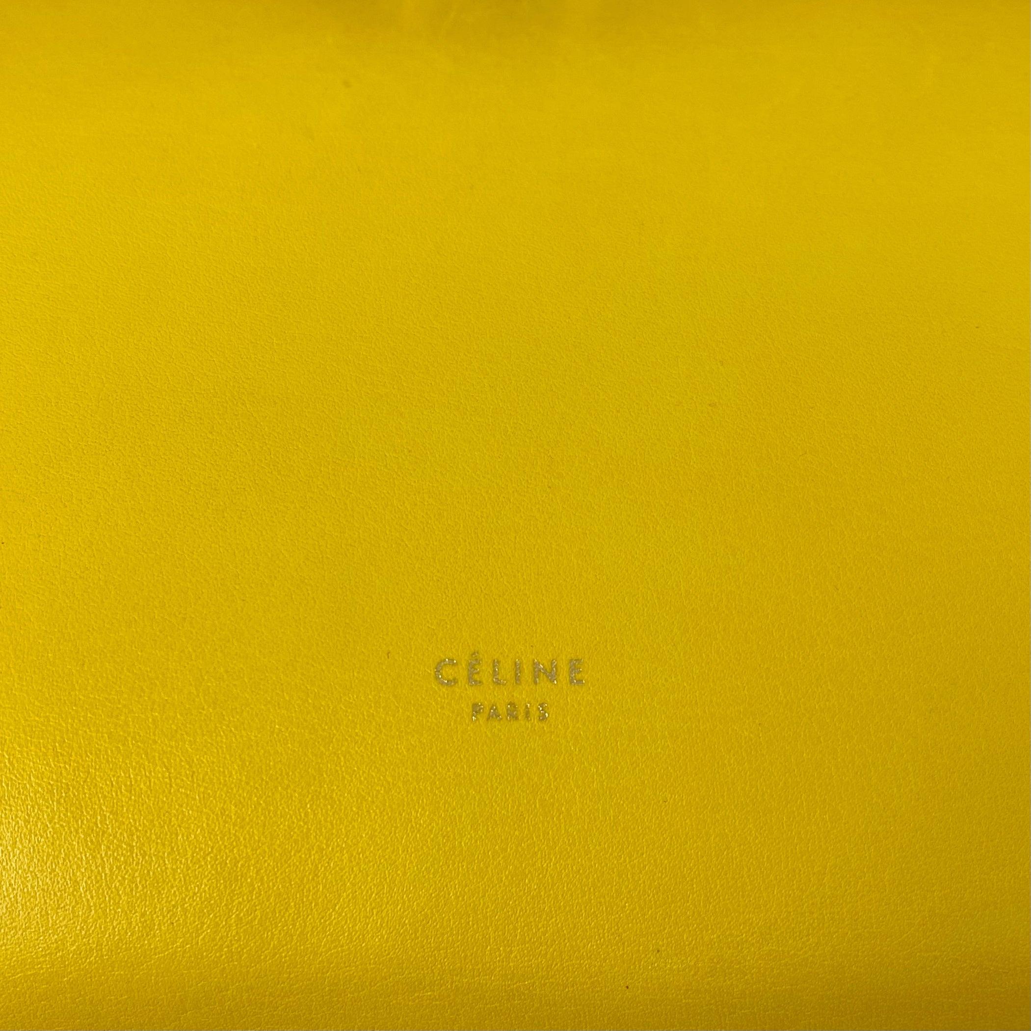 Celine Mini Belt Bag in Yellow | Crossbody Handbag for Women | Perfect for Everyday Use, Travel & Casual Outings