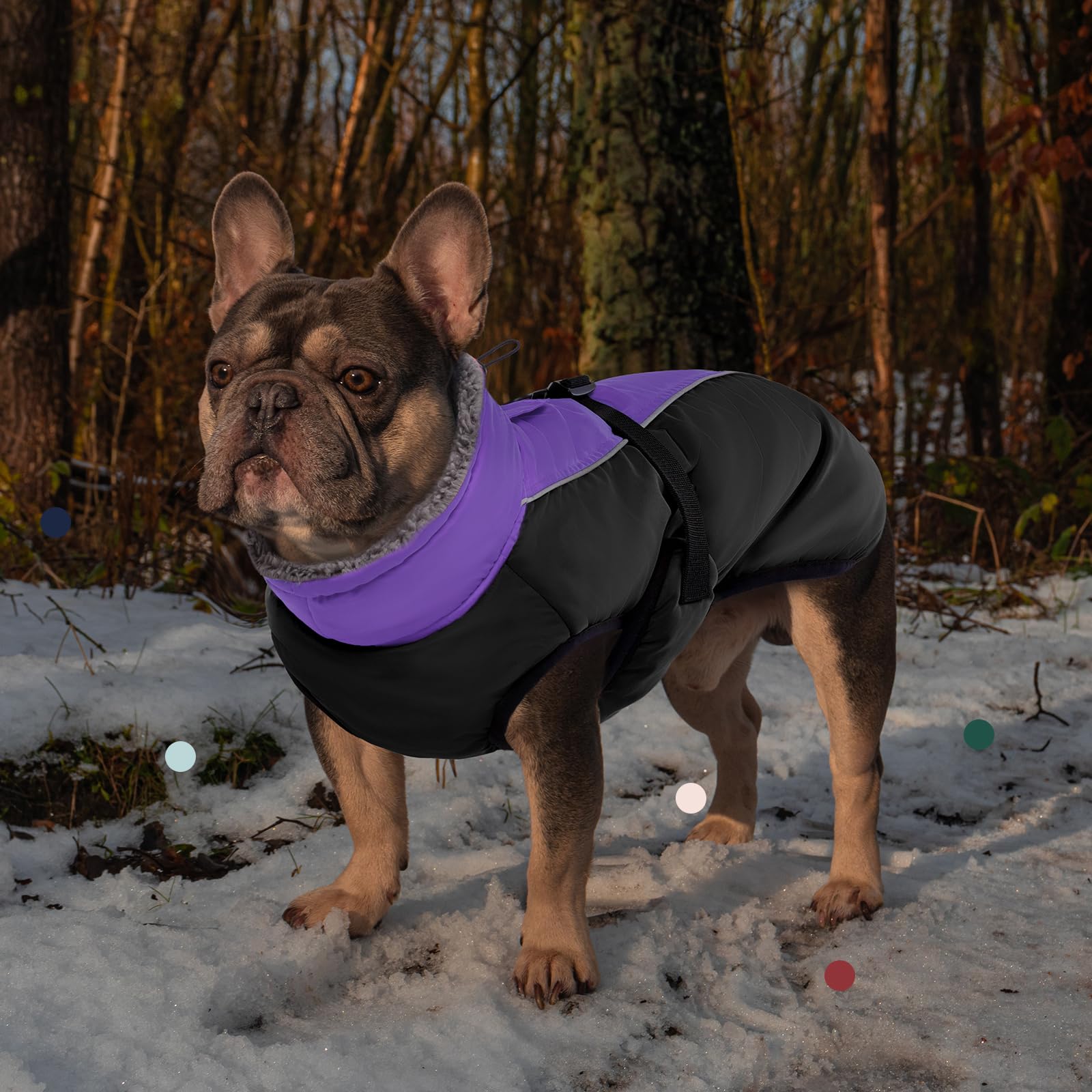 IECOii Extra Warm Reflective Adjustable Dog Jacket - Fleece Turtleneck Winter Coat with Buckle for Small, Medium & Large Dogs - Cold Weather Protection for Outdoor Walks & Winter Adventures