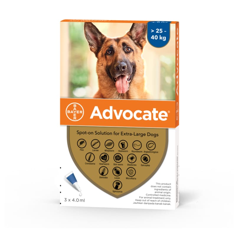 Best Advocate Flea & Tick Treatment for Extra Large Dogs 25kg & Above - Long-Lasting Protection for Outdoor & Indoor Use