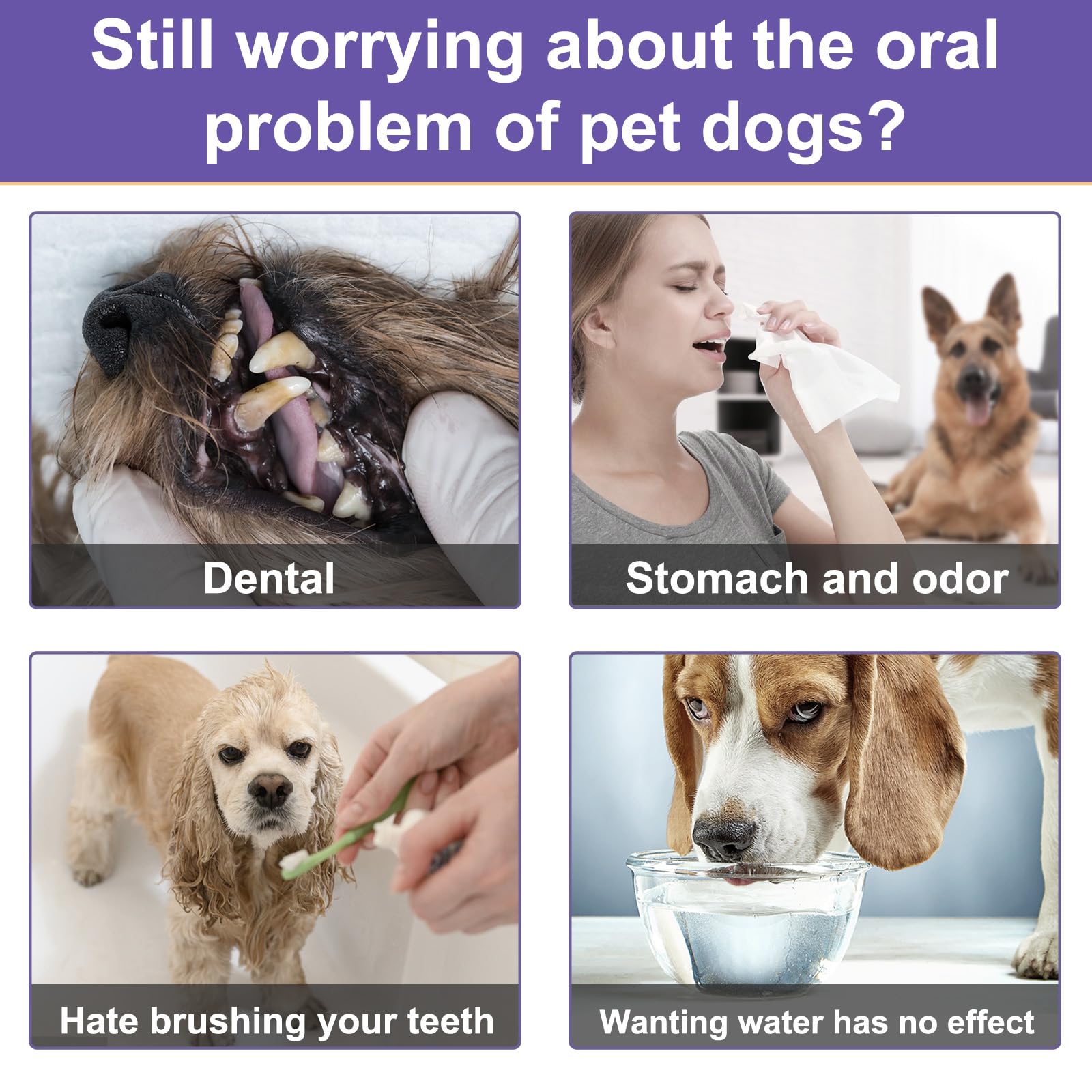**Natural Dog Dental Powder for Fresh Breath & Teeth Cleaning - Plaque & Tartar Remover for Small, Medium & Large Dogs - Easy-to-Use Oral Care Solution for Daily Use at Home**    *(Use Case: Helps maintain your dog's dental hygiene, freshens breath, and reduces plaque buildup for healthier teeth and gums.)*