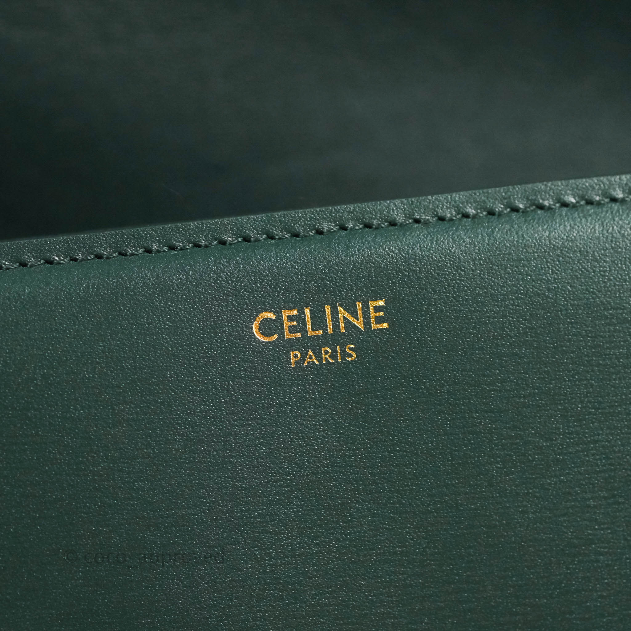 Celine Medium Triomphe Bag in Shiny Calfskin Leather - Amazone Green Crossbody Purse for Women | Perfect for Work, Date Night & Travel Accessories