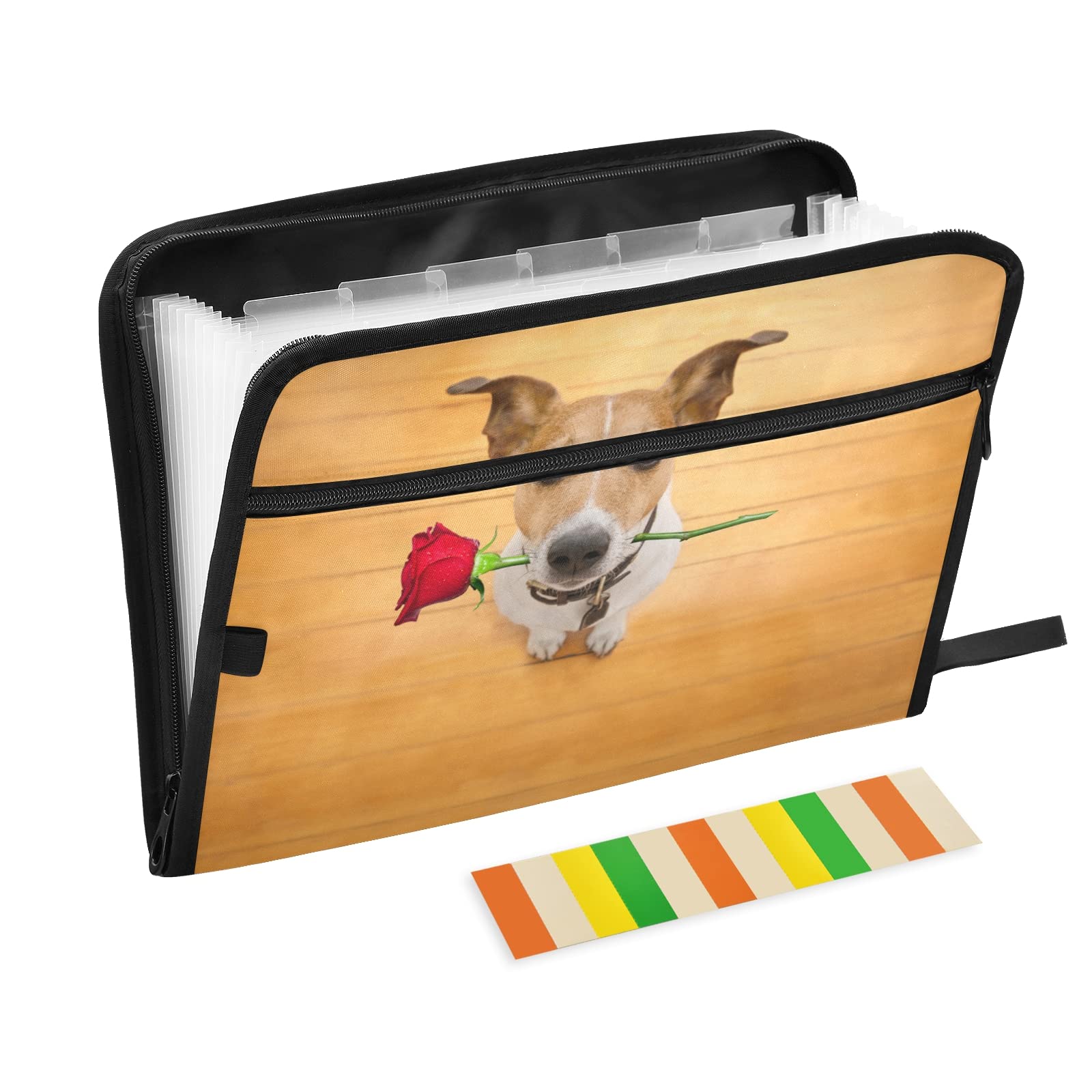 UMIRIKO 13-Pocket Expanding File Folder for Dogs - A4 Letter Size Document Organizer with Sticky Labels & Zipper Closure | Perfect for Pet Records, Vet Visits & Dog Show Paperwork (20220796)