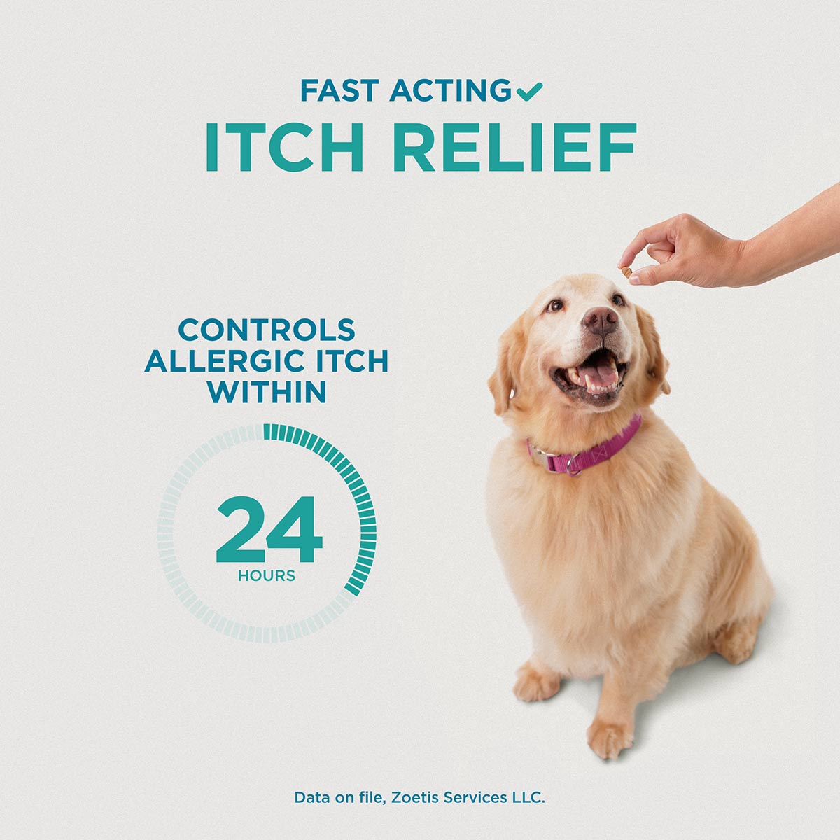 Apoquel (Oclacitinib) Chewable Tablets for Dogs - Allergy Relief & Itch Control for Pets - Perfect for Atopic Dermatitis & Seasonal Allergies