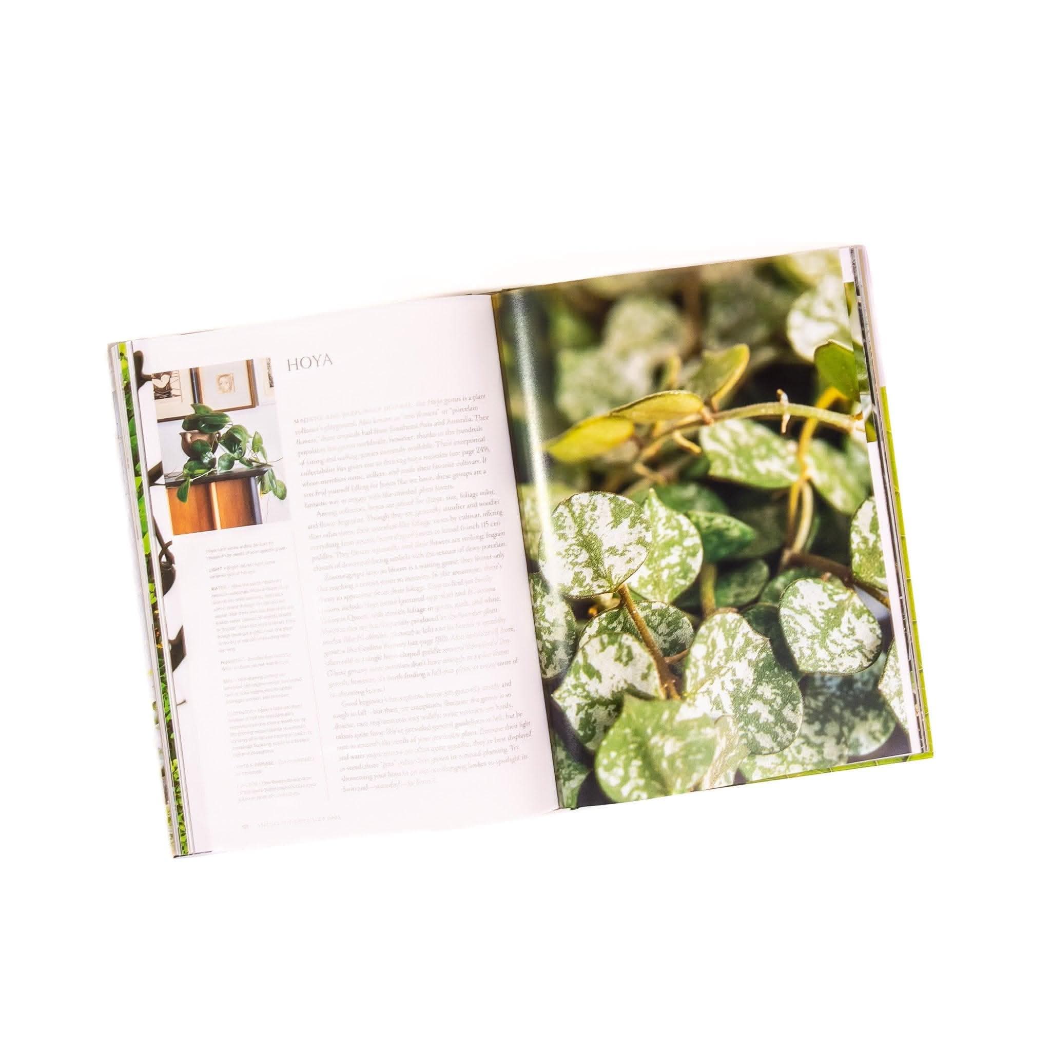 Terrain: The Ultimate Houseplant Book - Indoor Plant Care Guide for Home & Office Decor