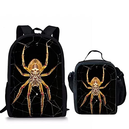 Spider-2pcs