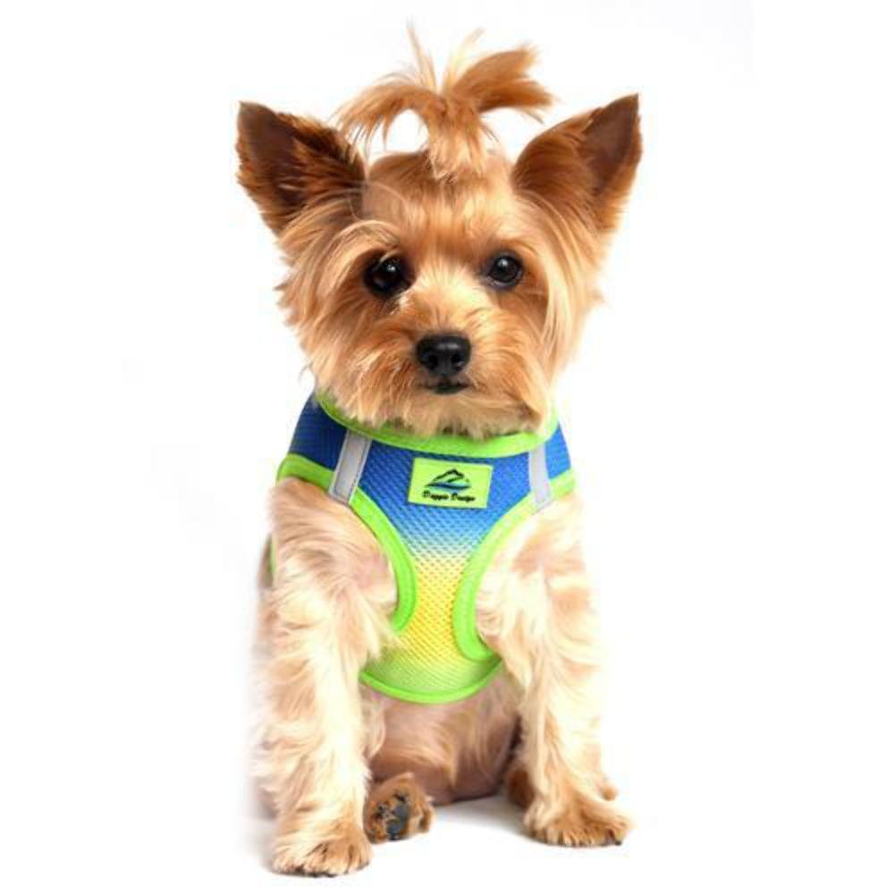 DOGGIE DESIGN American River Dog Harness - Ombre Collection in Cobalt Blue | Adjustable Sport Harness for Hiking, Running & Outdoor Adventures