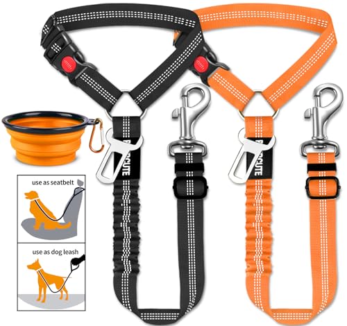 10-Black+Orange