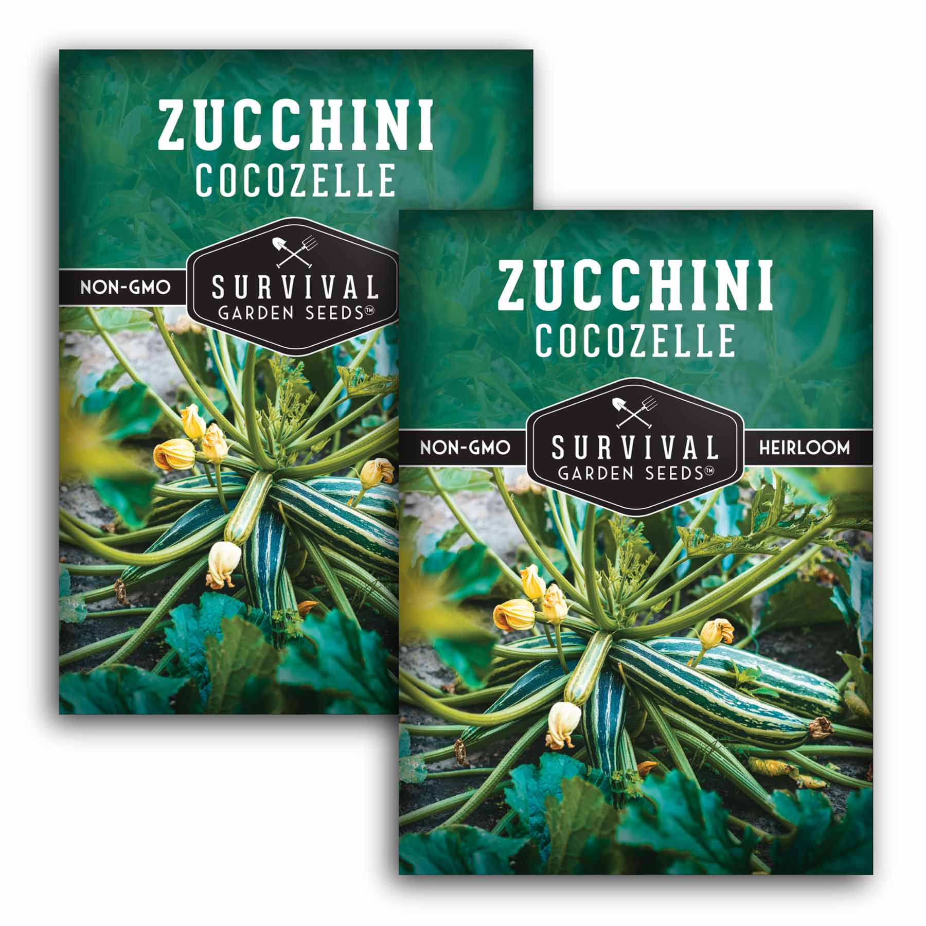 Organic Cocozelle Zucchini Seeds - Italian Heirloom Summer Squash for Home Gardening, Cooking & Fresh Salads