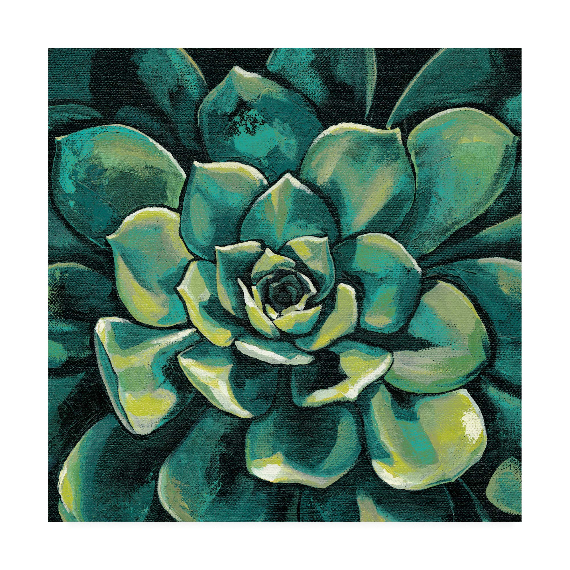 Trademark Fine Art - 18x18 Succulent Bloom I by Megan Meagher - Vibrant Floral Wall Decor for Living Room, Bedroom & Office