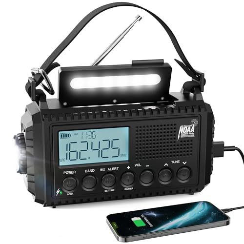 Black-LCD Display