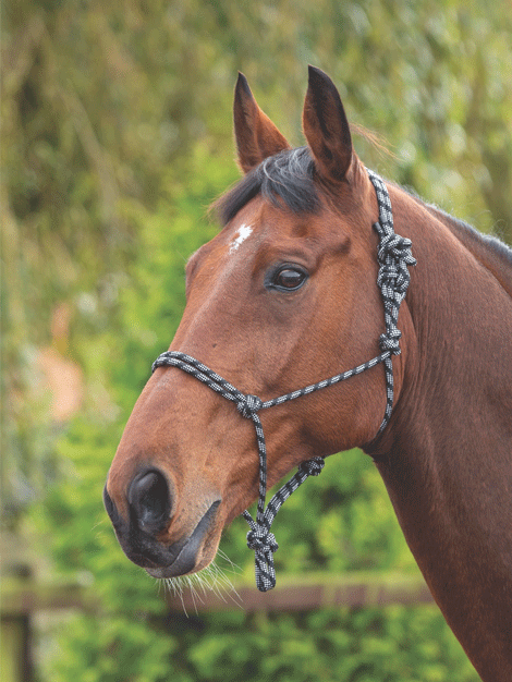 Best Rope Control Headcollar for Horses - Adjustable Training Halter with Soft Noseband - Perfect for Groundwork, Training & Grooming